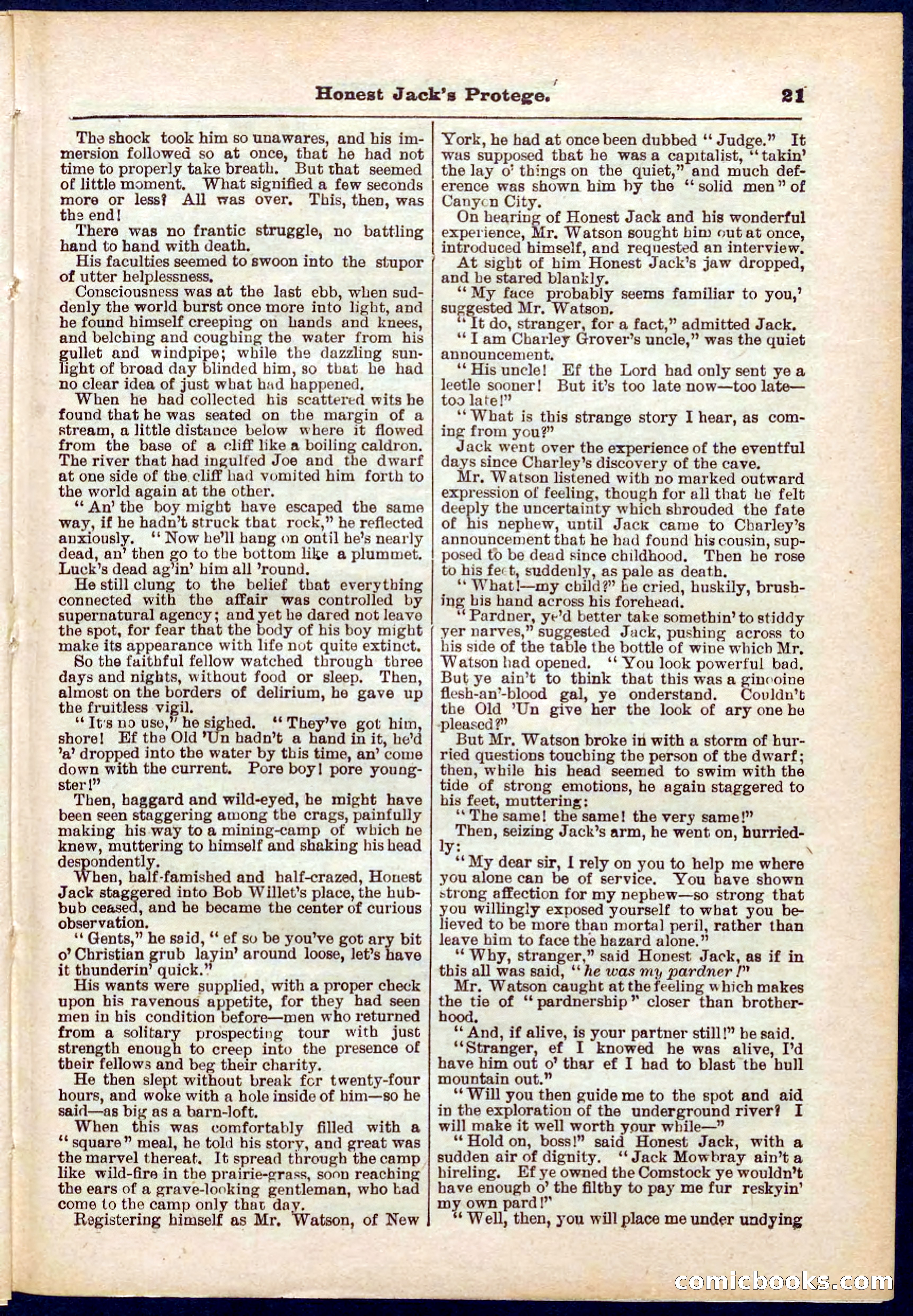 Beadle's Pocket Library No. 313 — page 21 of 32