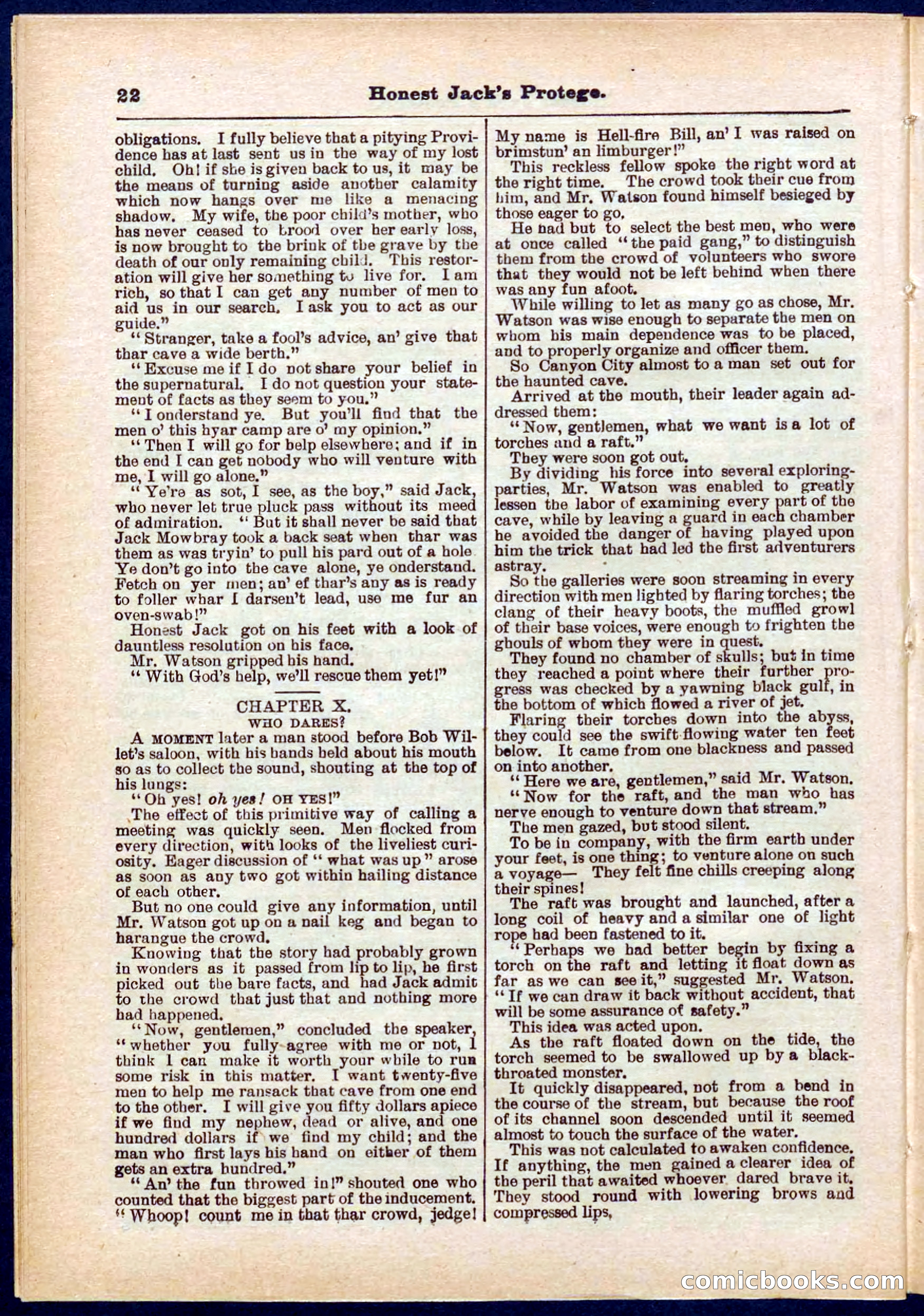 Beadle's Pocket Library No. 313 — page 22 of 32