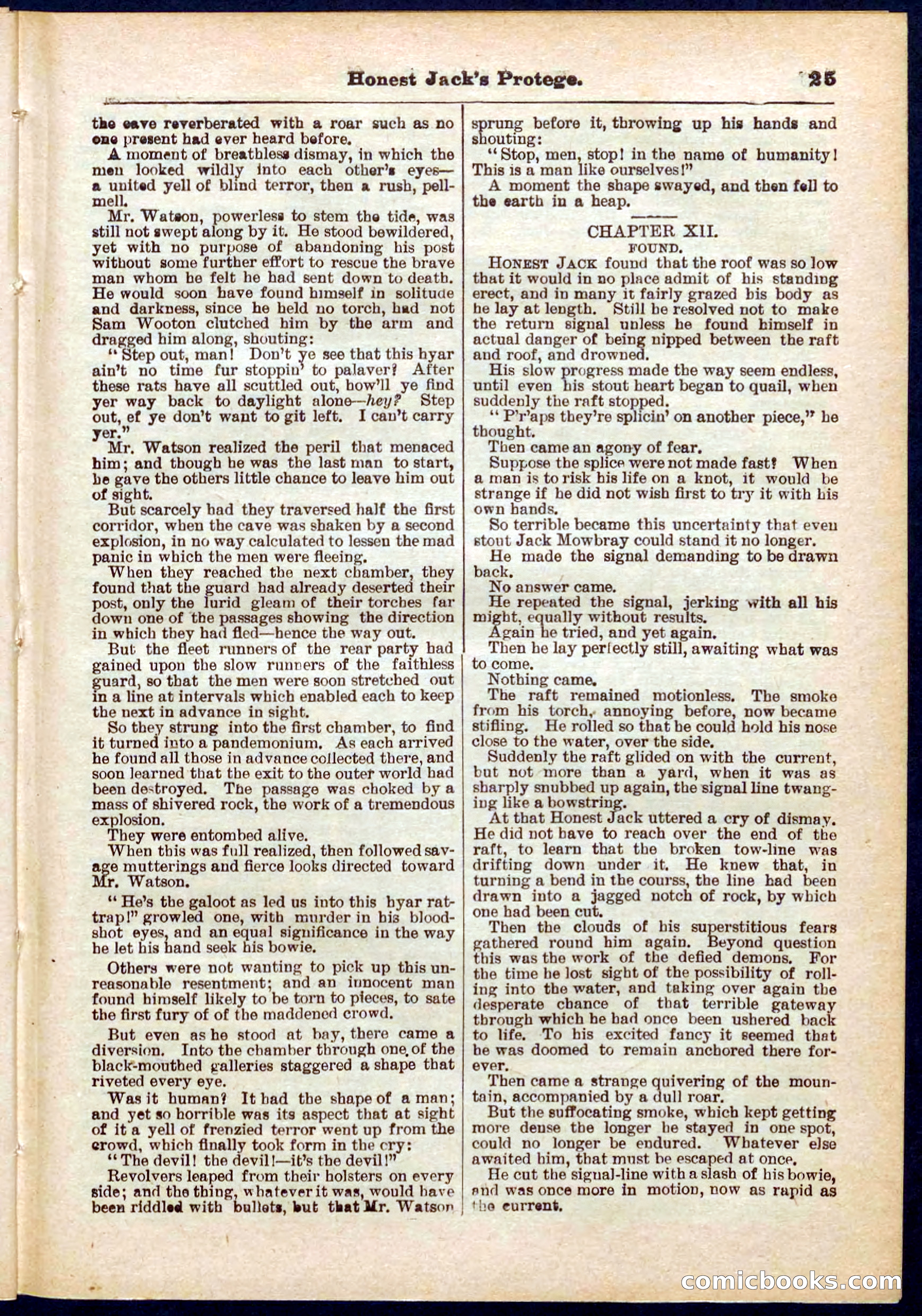 Beadle's Pocket Library No. 313 — page 25 of 32