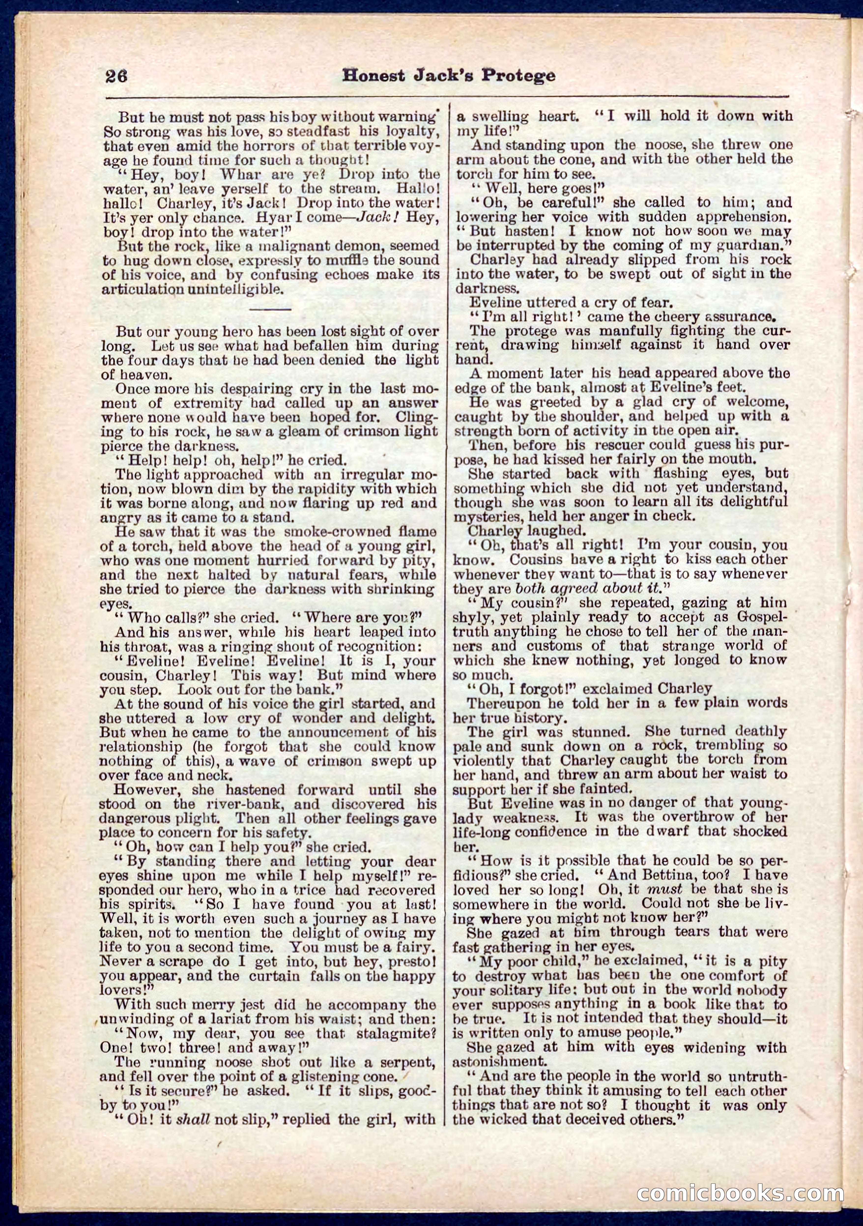 Beadle's Pocket Library No. 313 — page 26 of 32