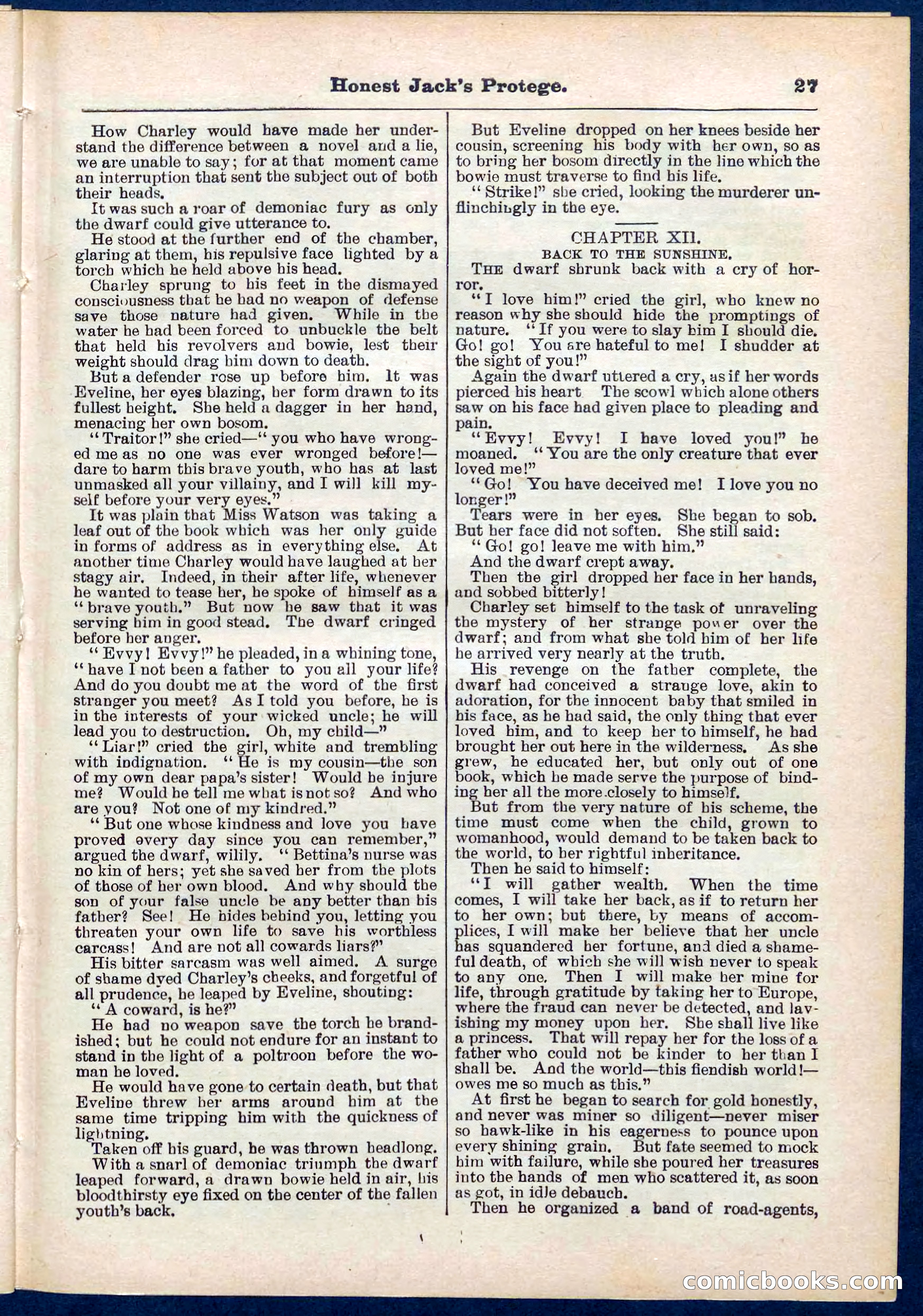 Beadle's Pocket Library No. 313 — page 27 of 32