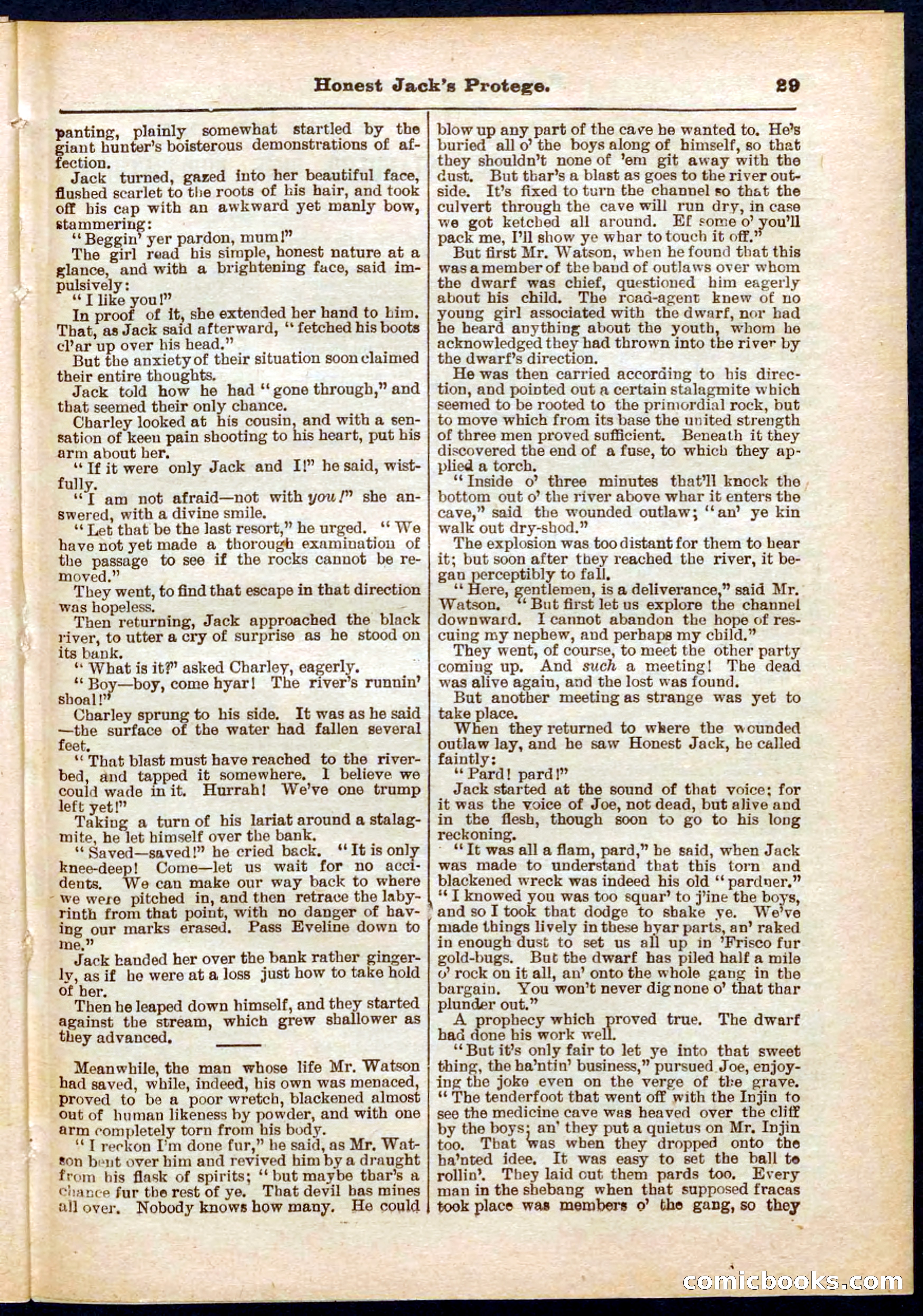 Beadle's Pocket Library No. 313 — page 29 of 32