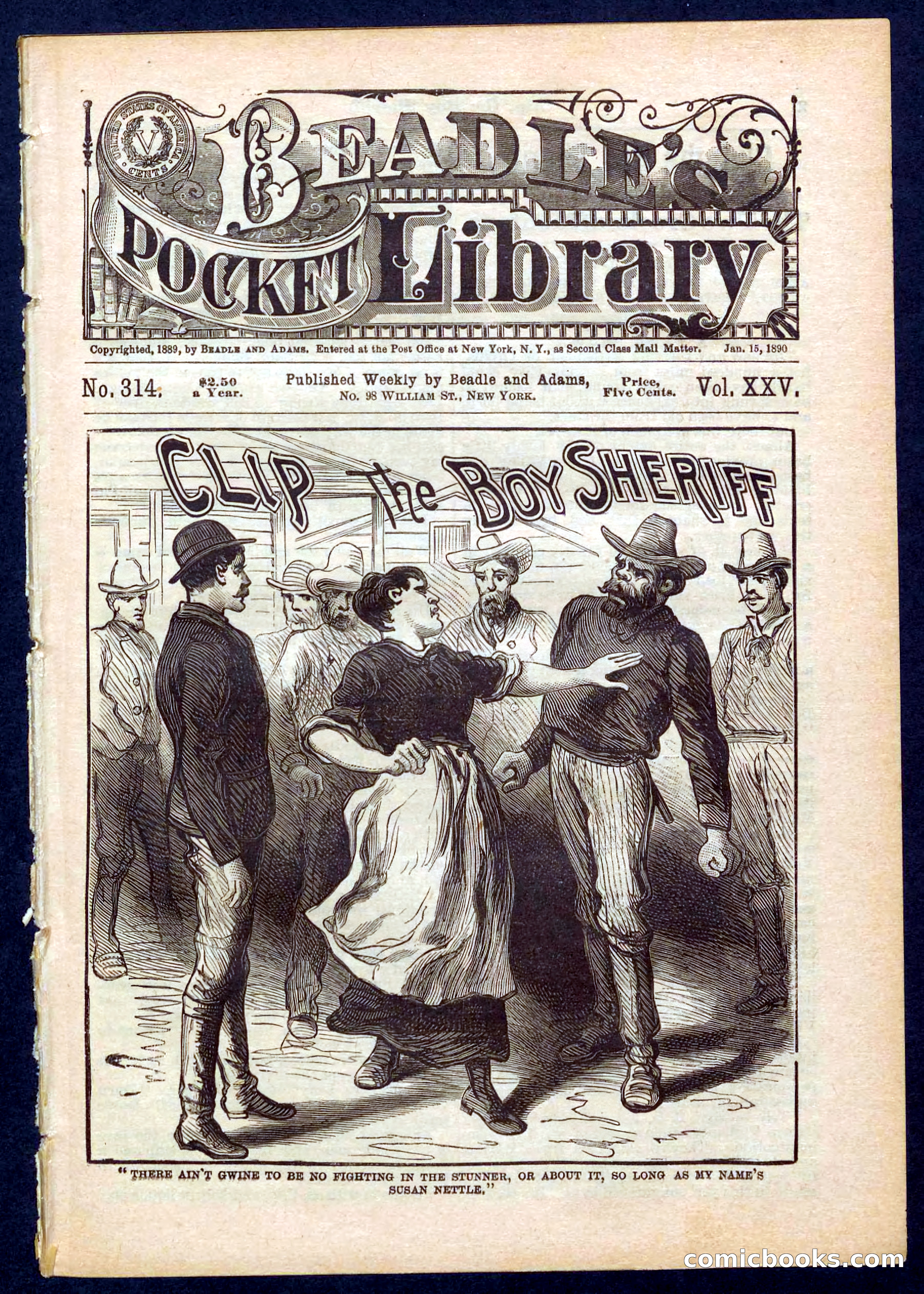 Beadle's Pocket Library No. 314 — page 1 of 32
