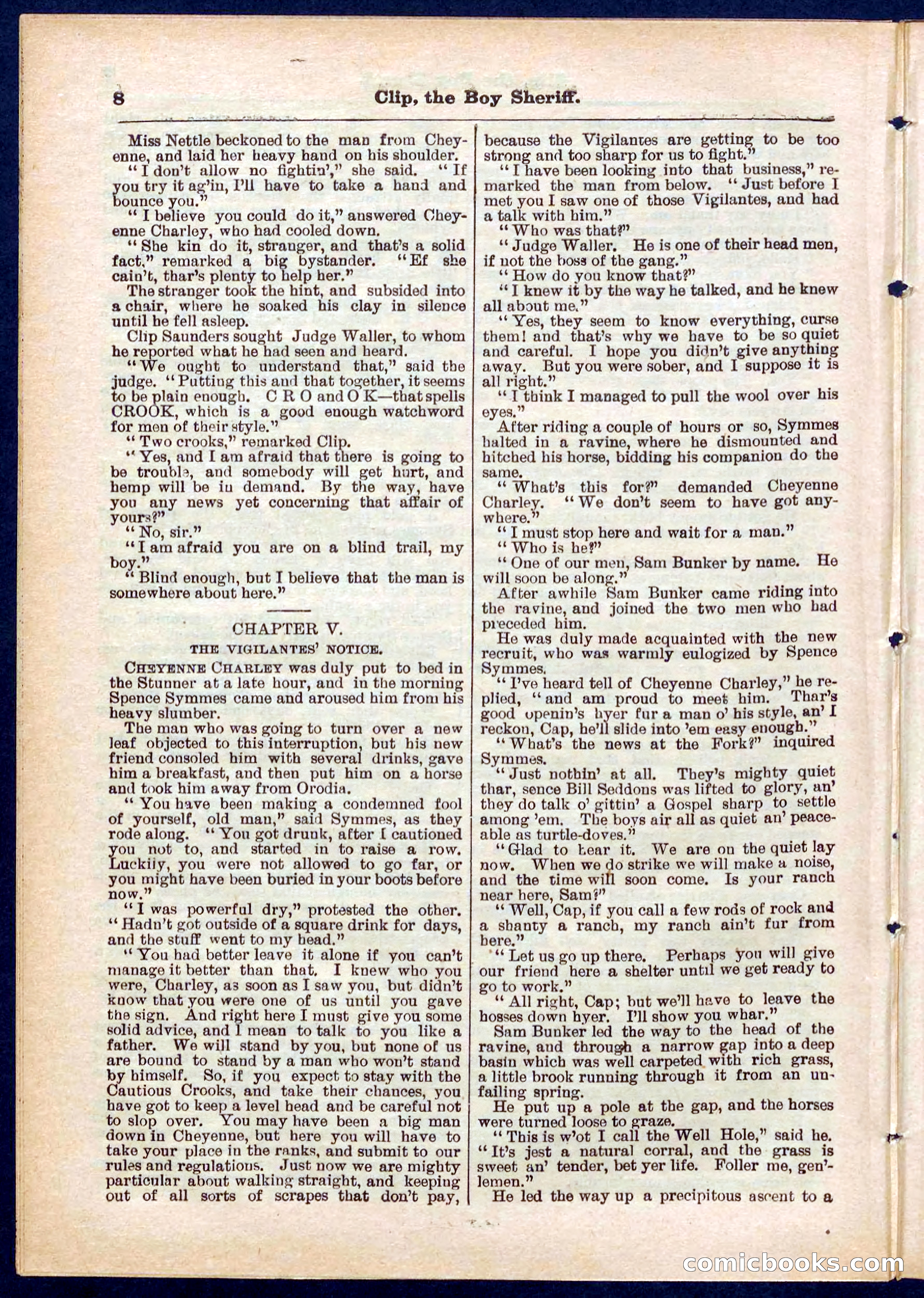 Beadle's Pocket Library No. 314 — page 8 of 32