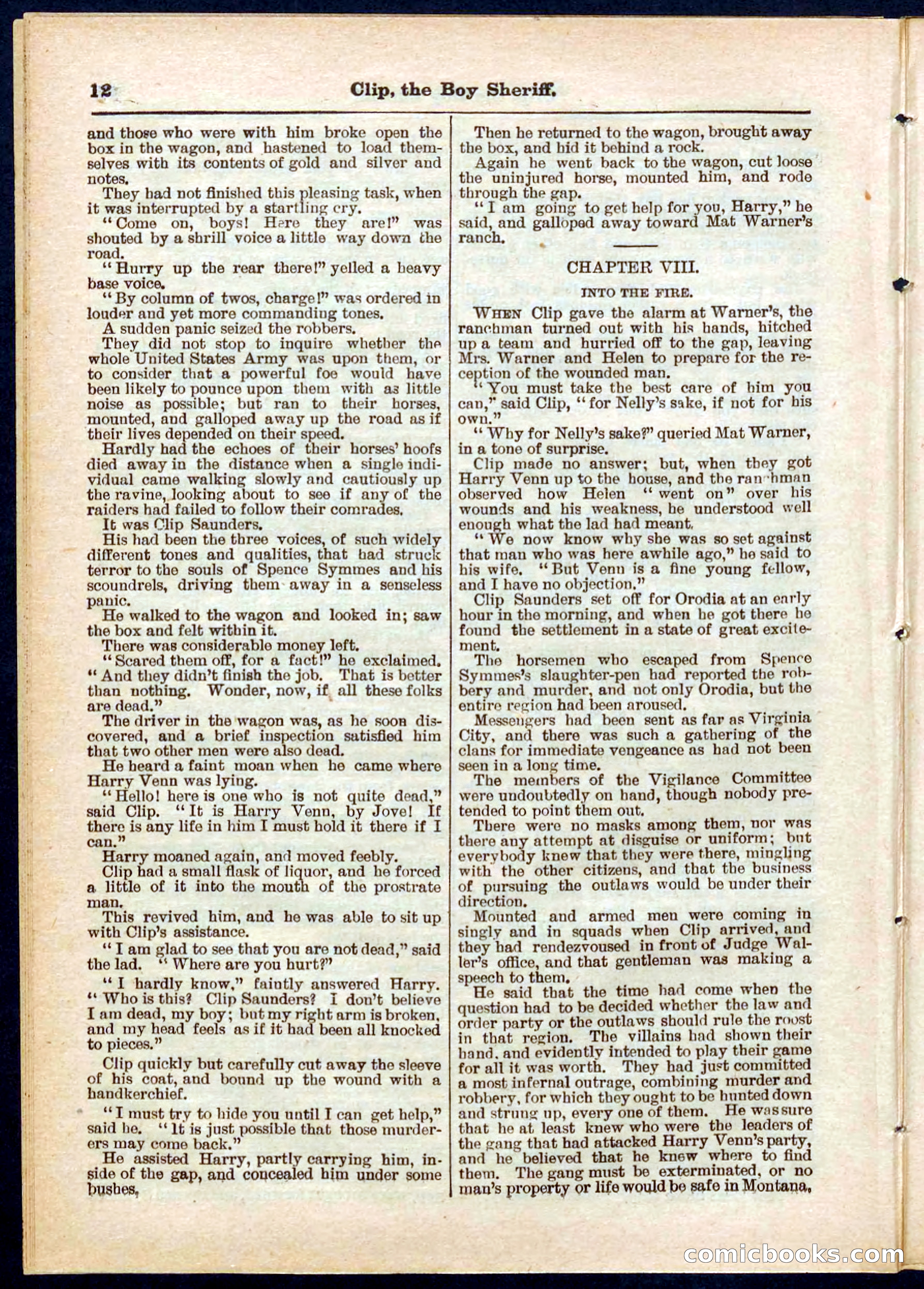 Beadle's Pocket Library No. 314 — page 12 of 32