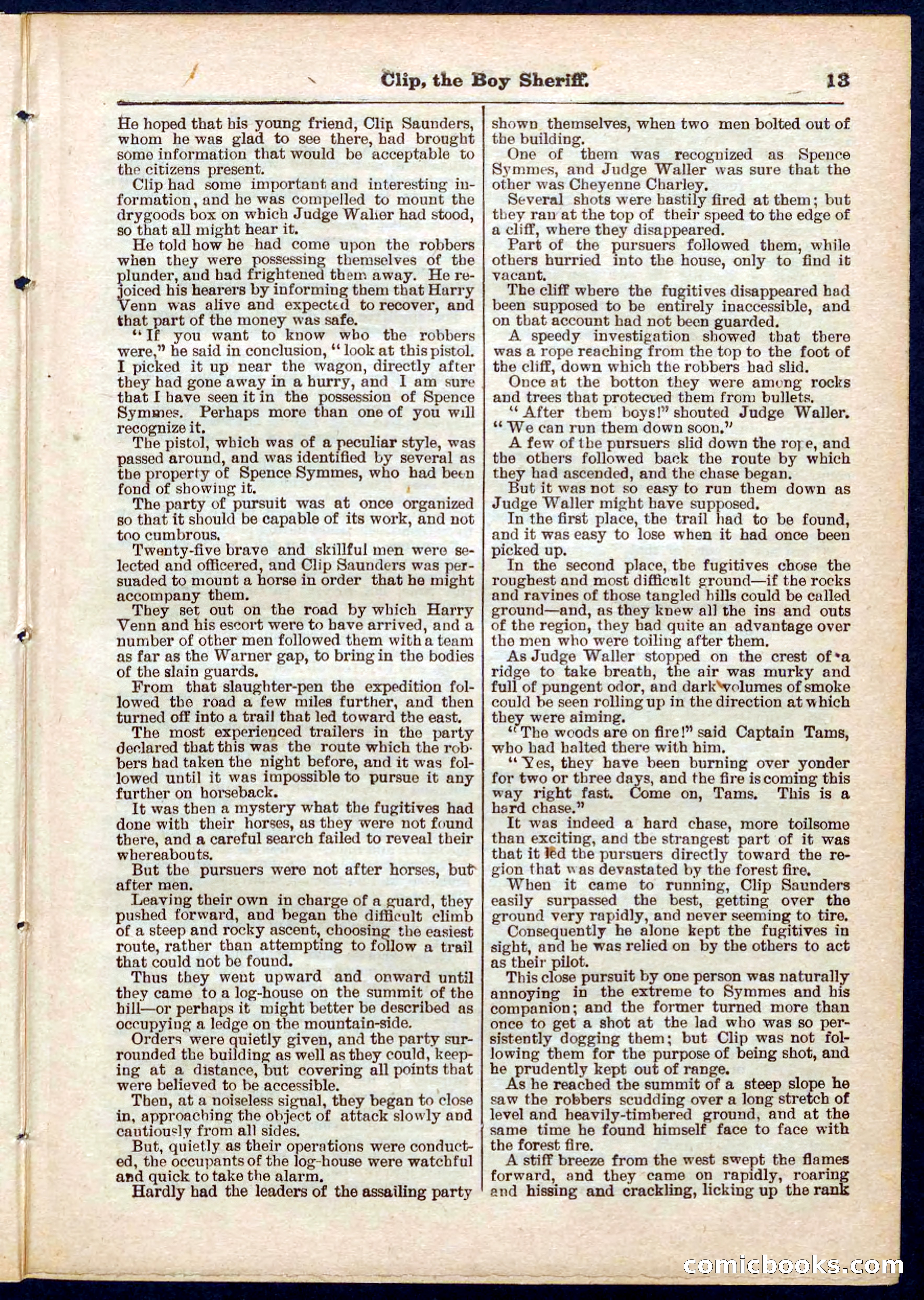 Beadle's Pocket Library No. 314 — page 13 of 32