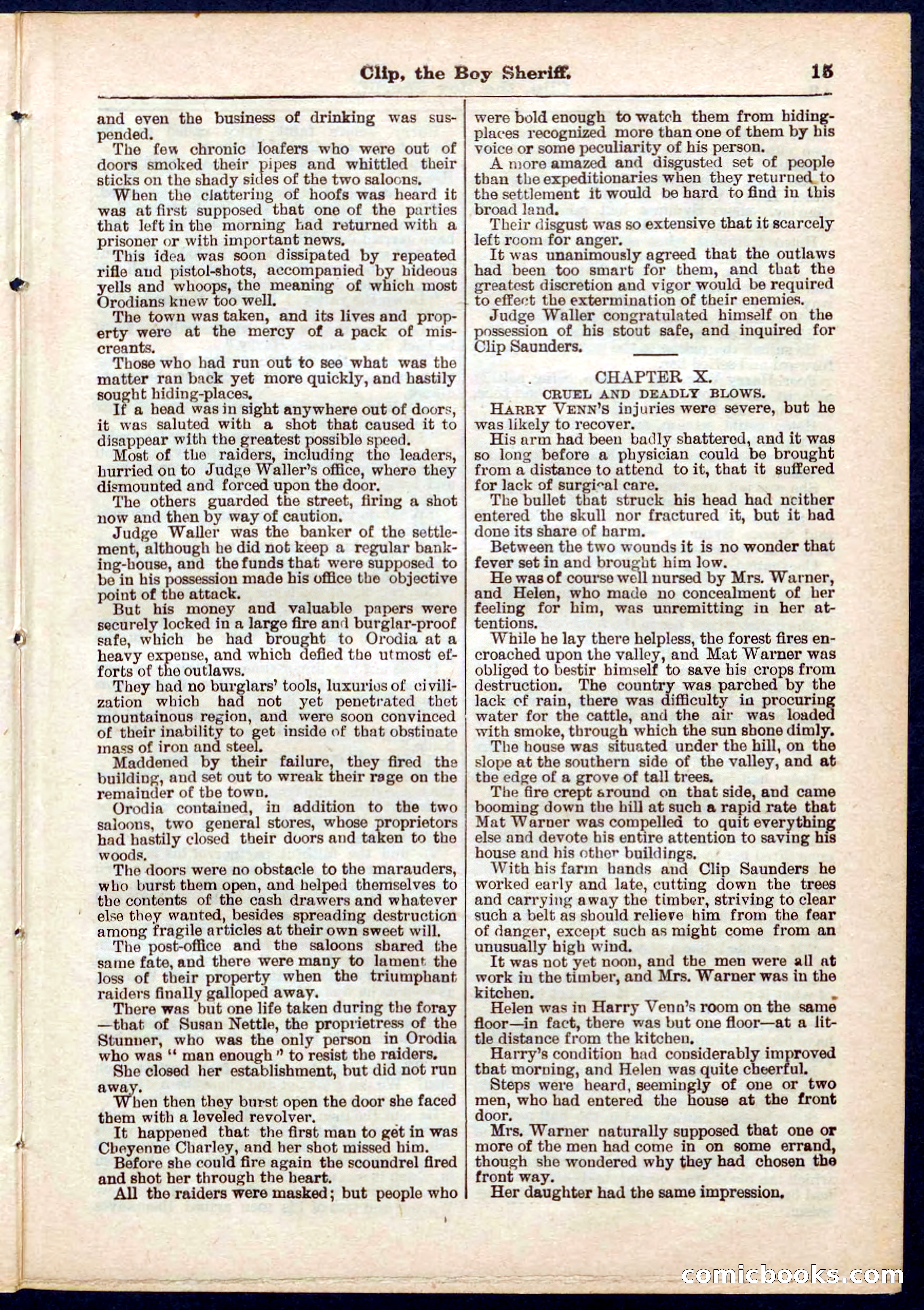 Beadle's Pocket Library No. 314 — page 15 of 32