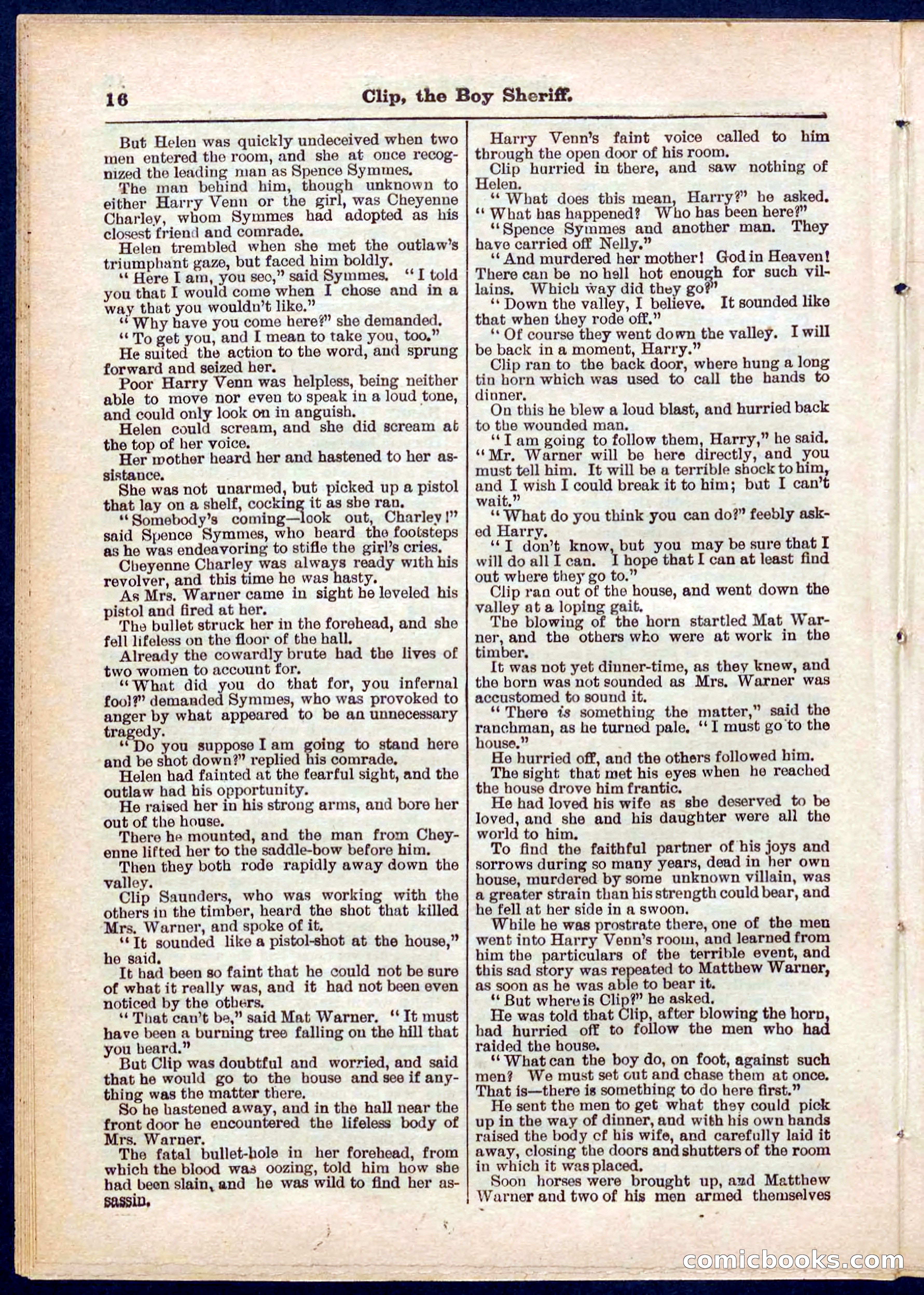 Beadle's Pocket Library No. 314 — page 16 of 32