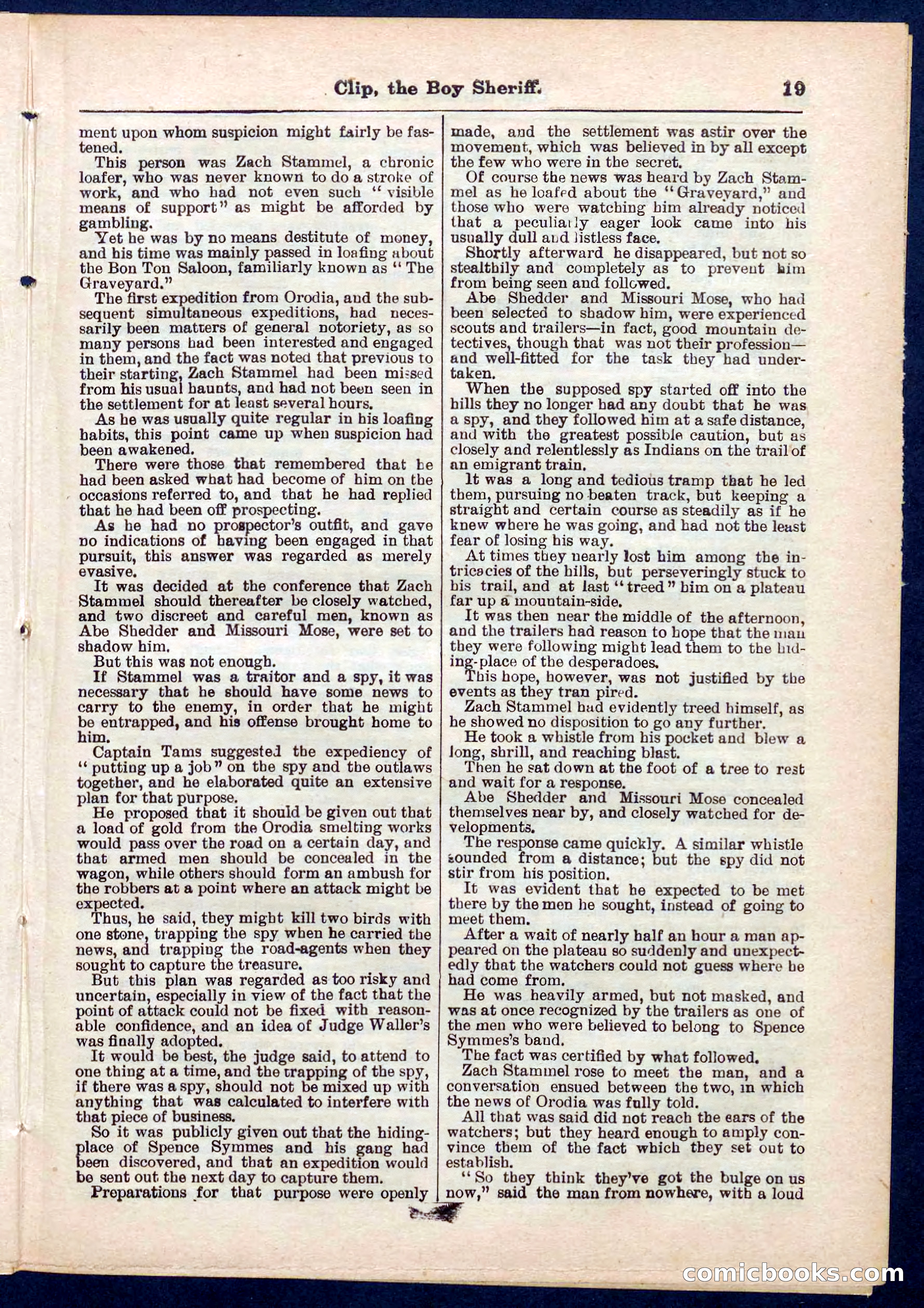 Beadle's Pocket Library No. 314 — page 19 of 32