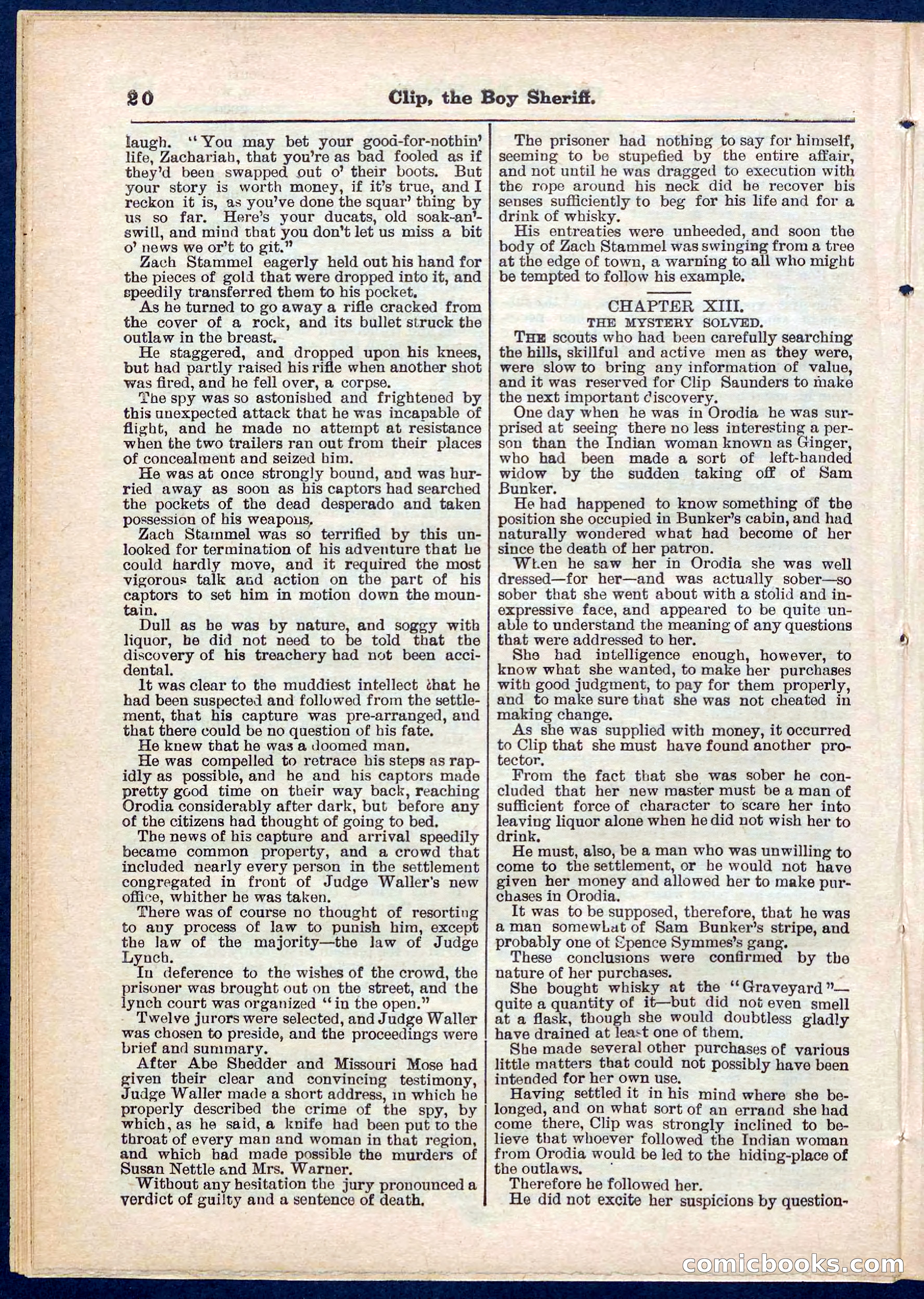 Beadle's Pocket Library No. 314 — page 20 of 32