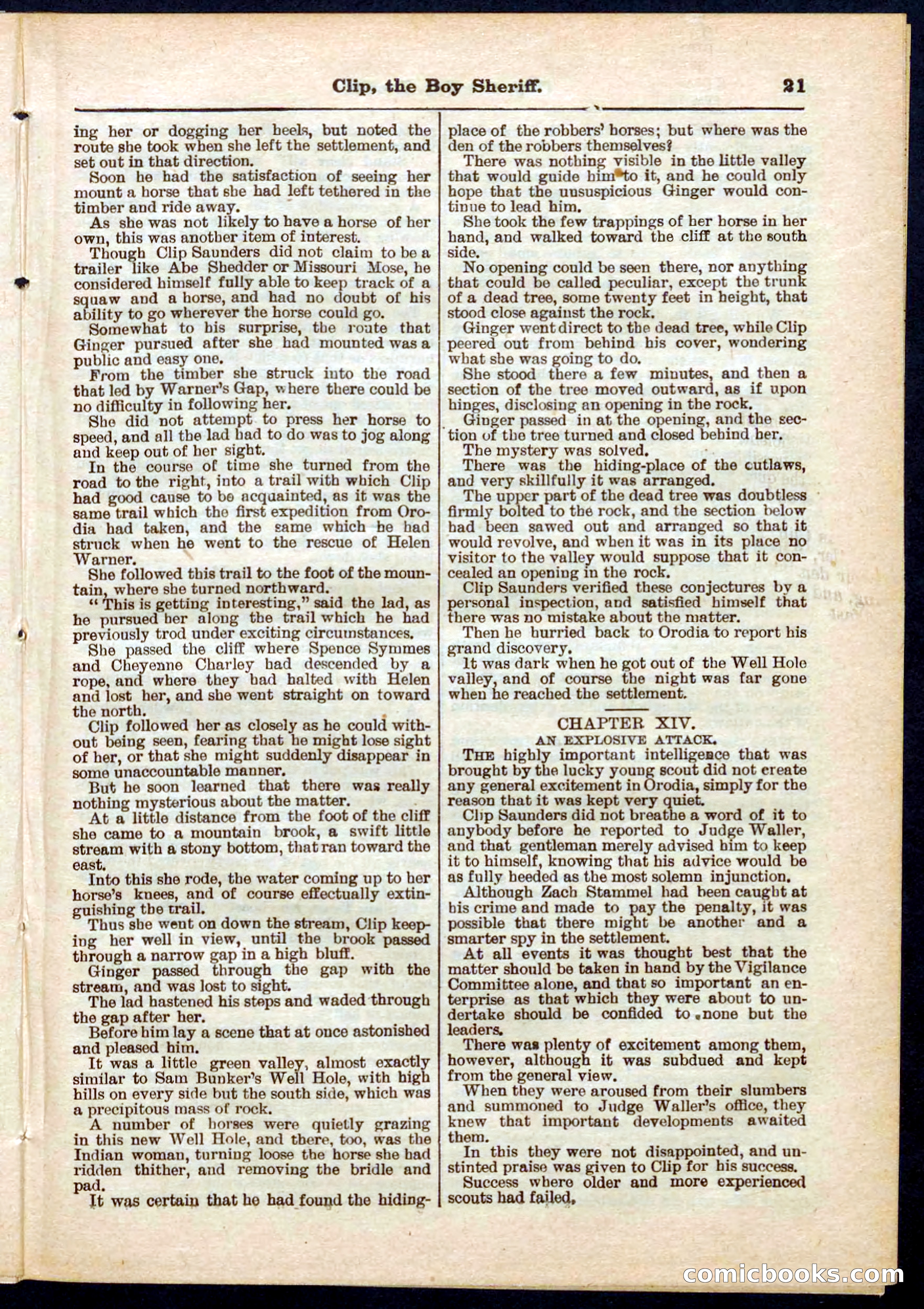 Beadle's Pocket Library No. 314 — page 21 of 32