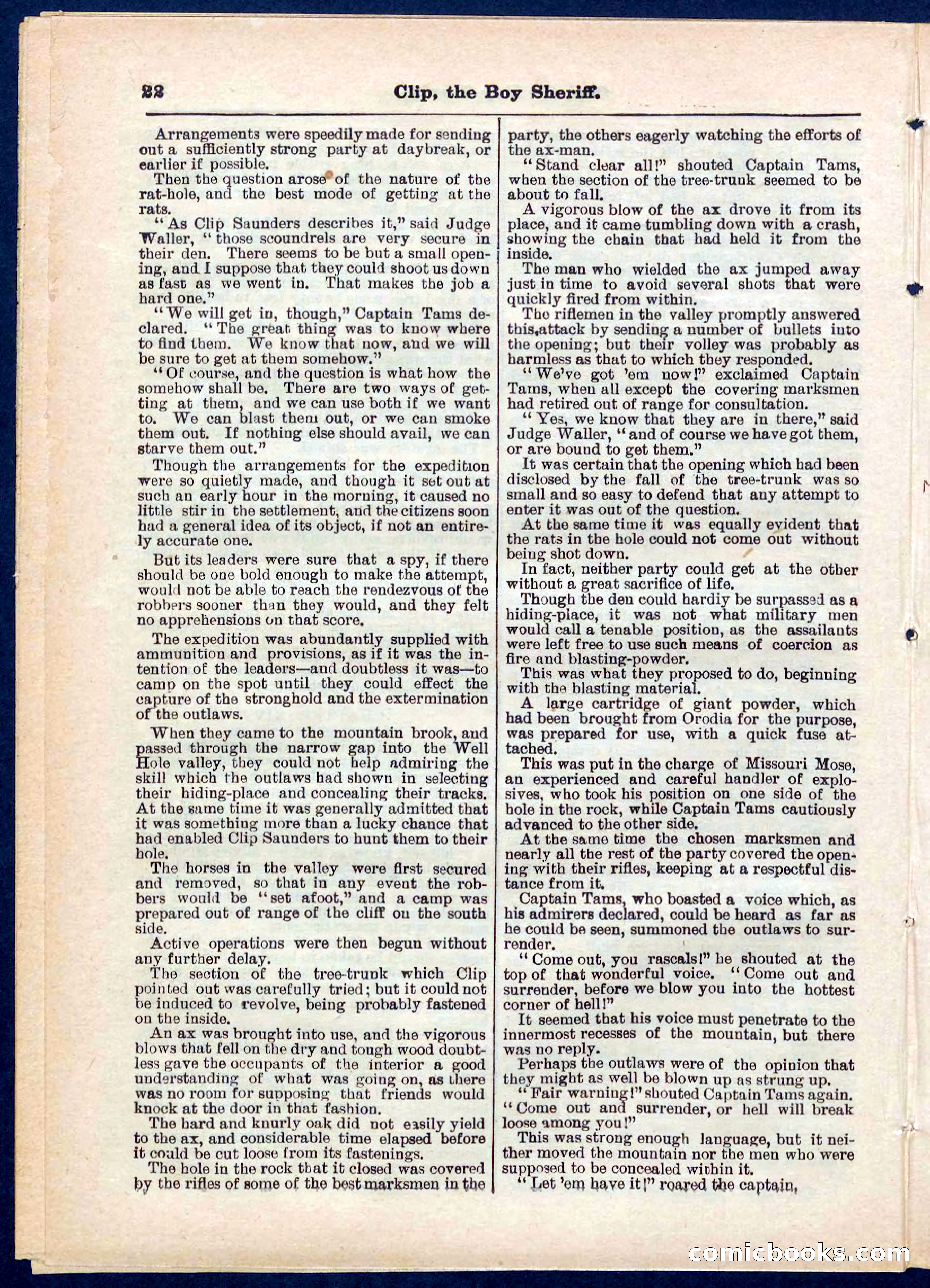 Beadle's Pocket Library No. 314 — page 22 of 32