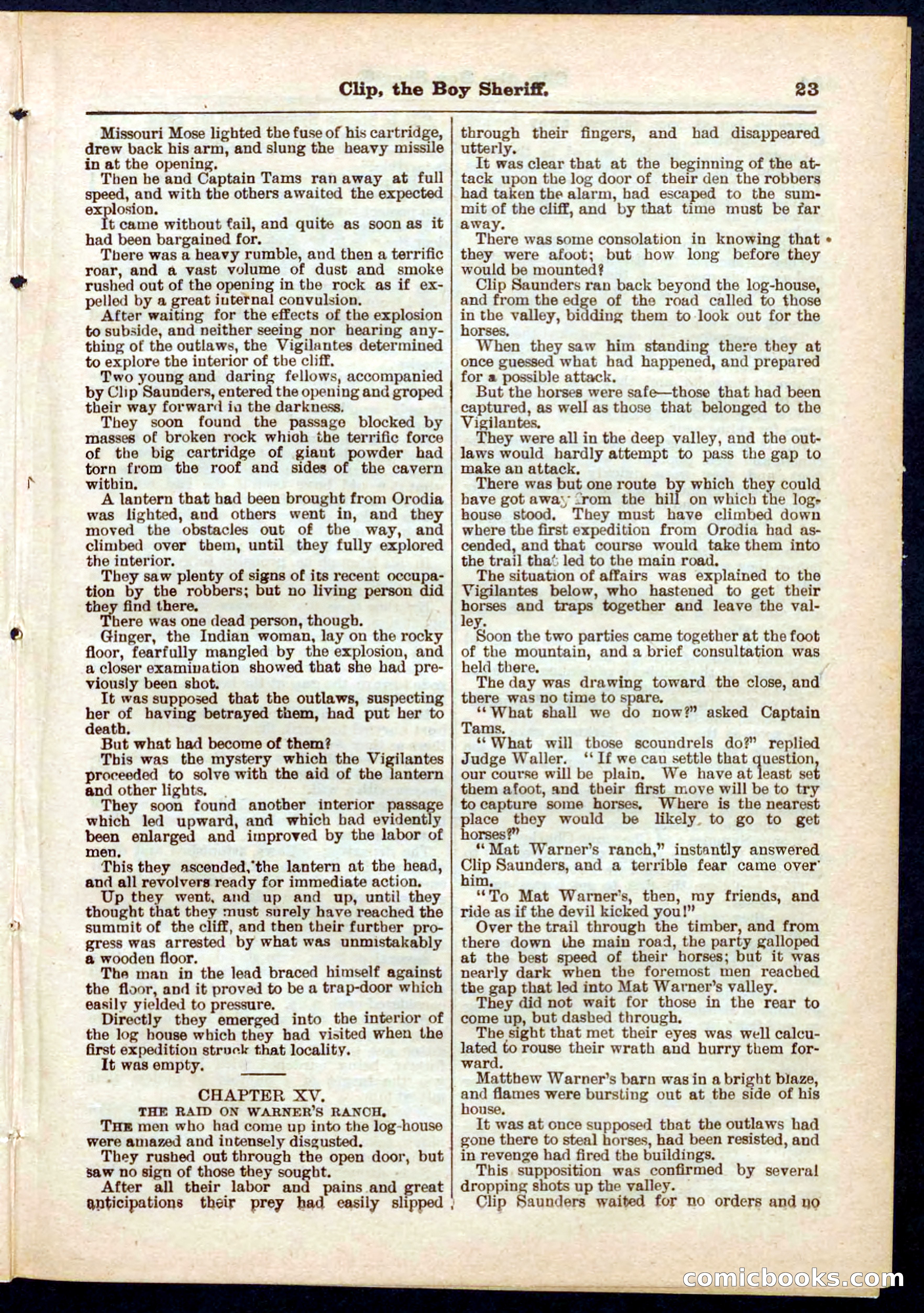 Beadle's Pocket Library No. 314 — page 23 of 32