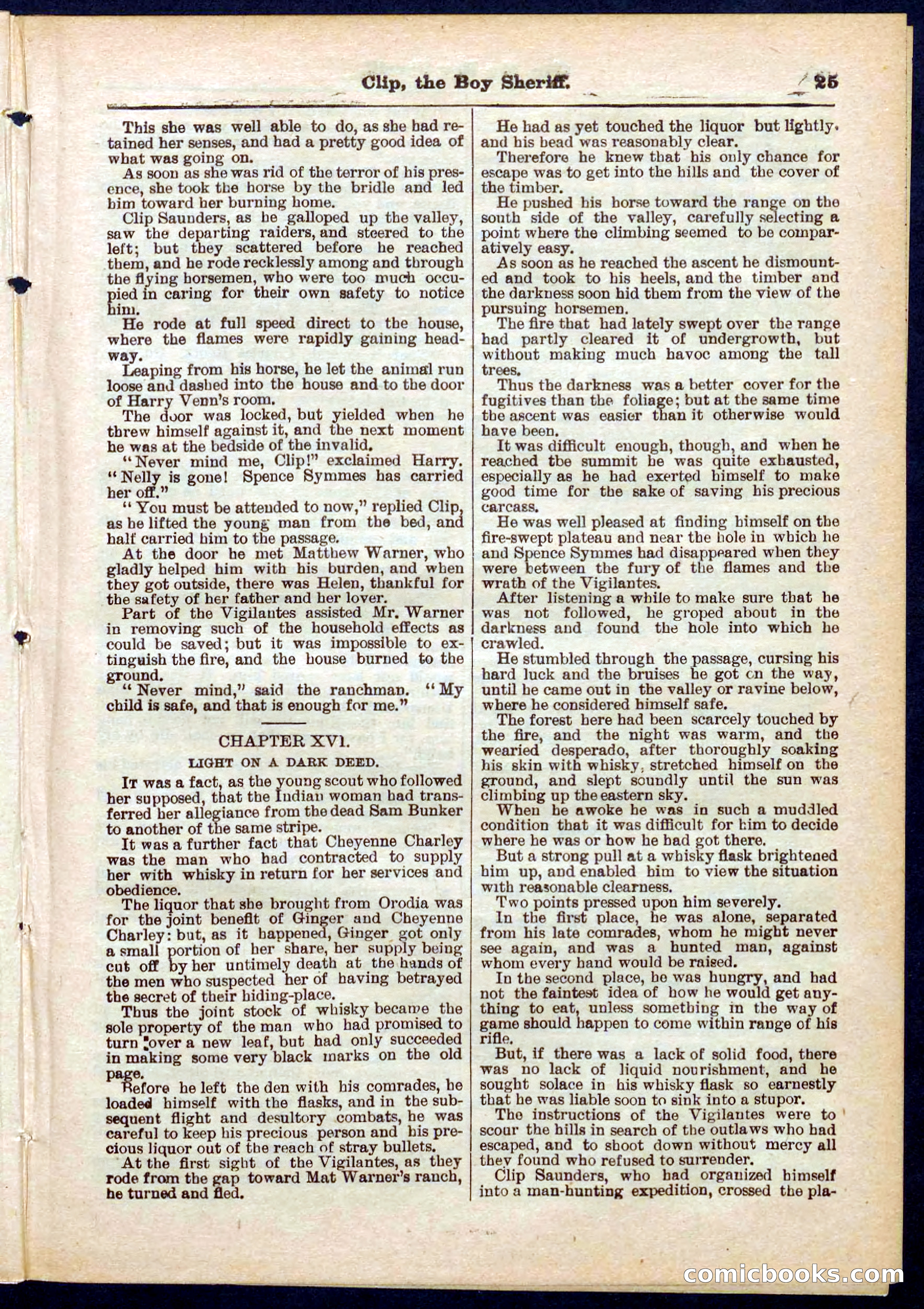 Beadle's Pocket Library No. 314 — page 25 of 32