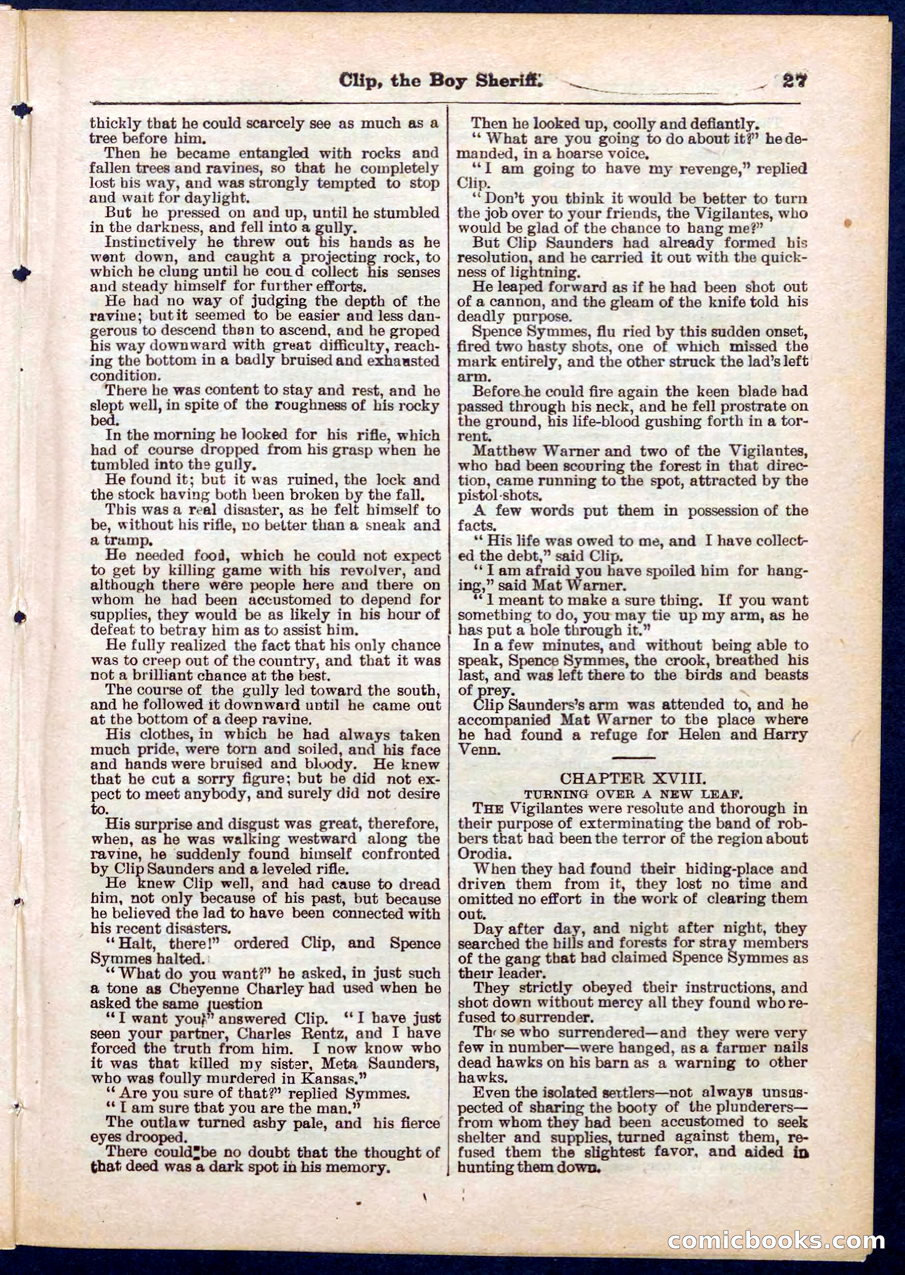 Beadle's Pocket Library No. 314 — page 27 of 32