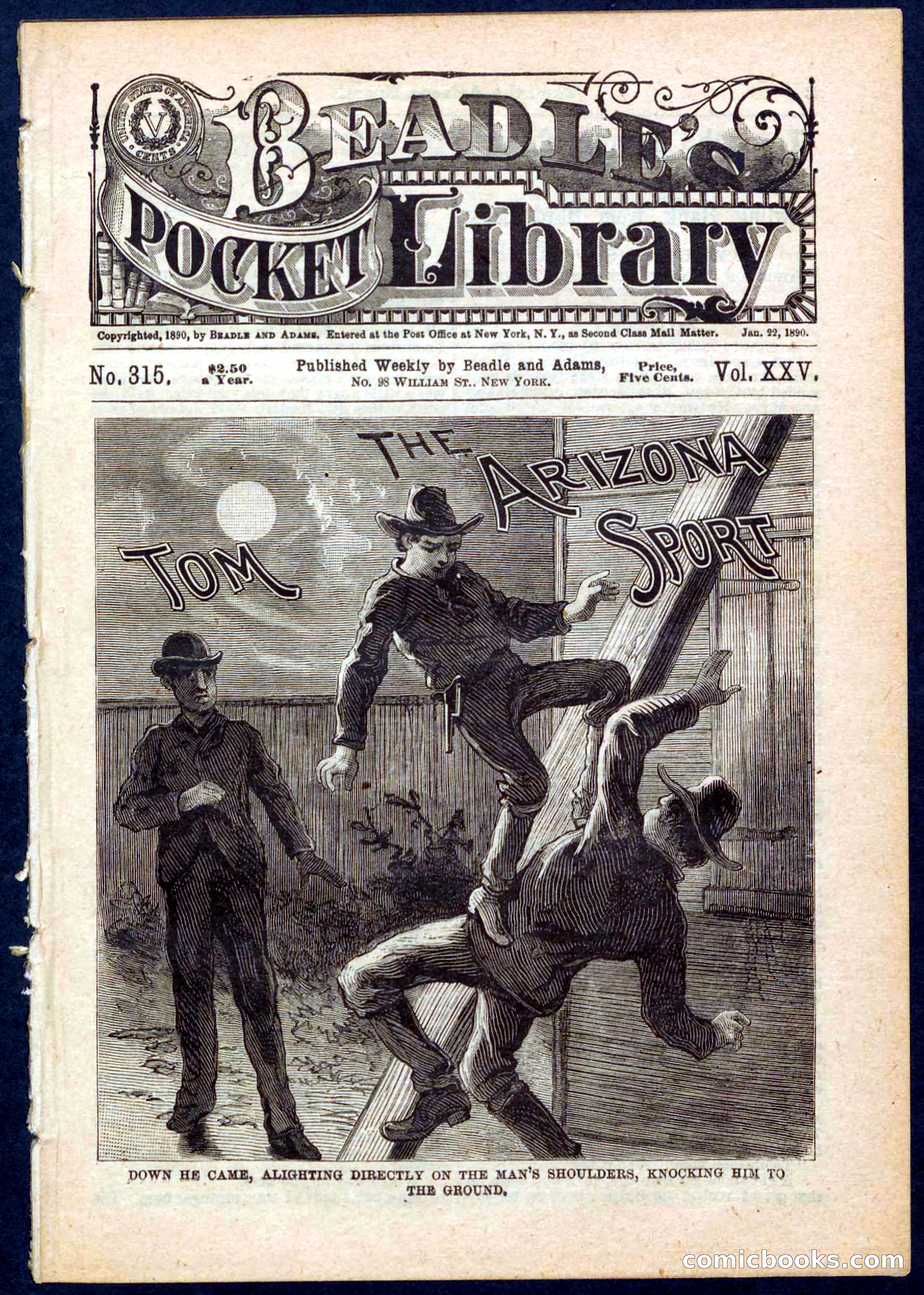 Beadle's Pocket Library No. 315 — page 1 of 32