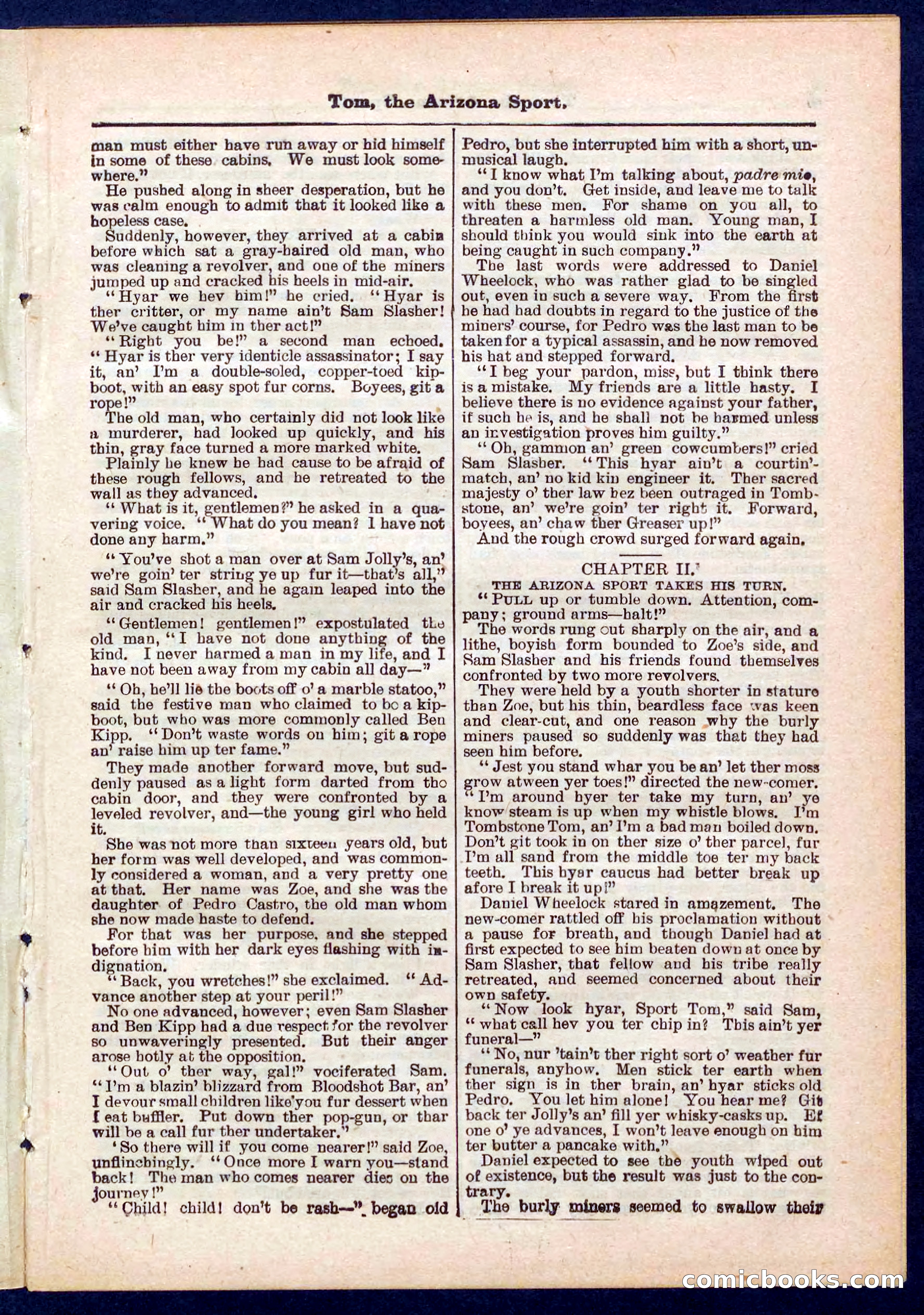 Beadle's Pocket Library No. 315 — page 3 of 32