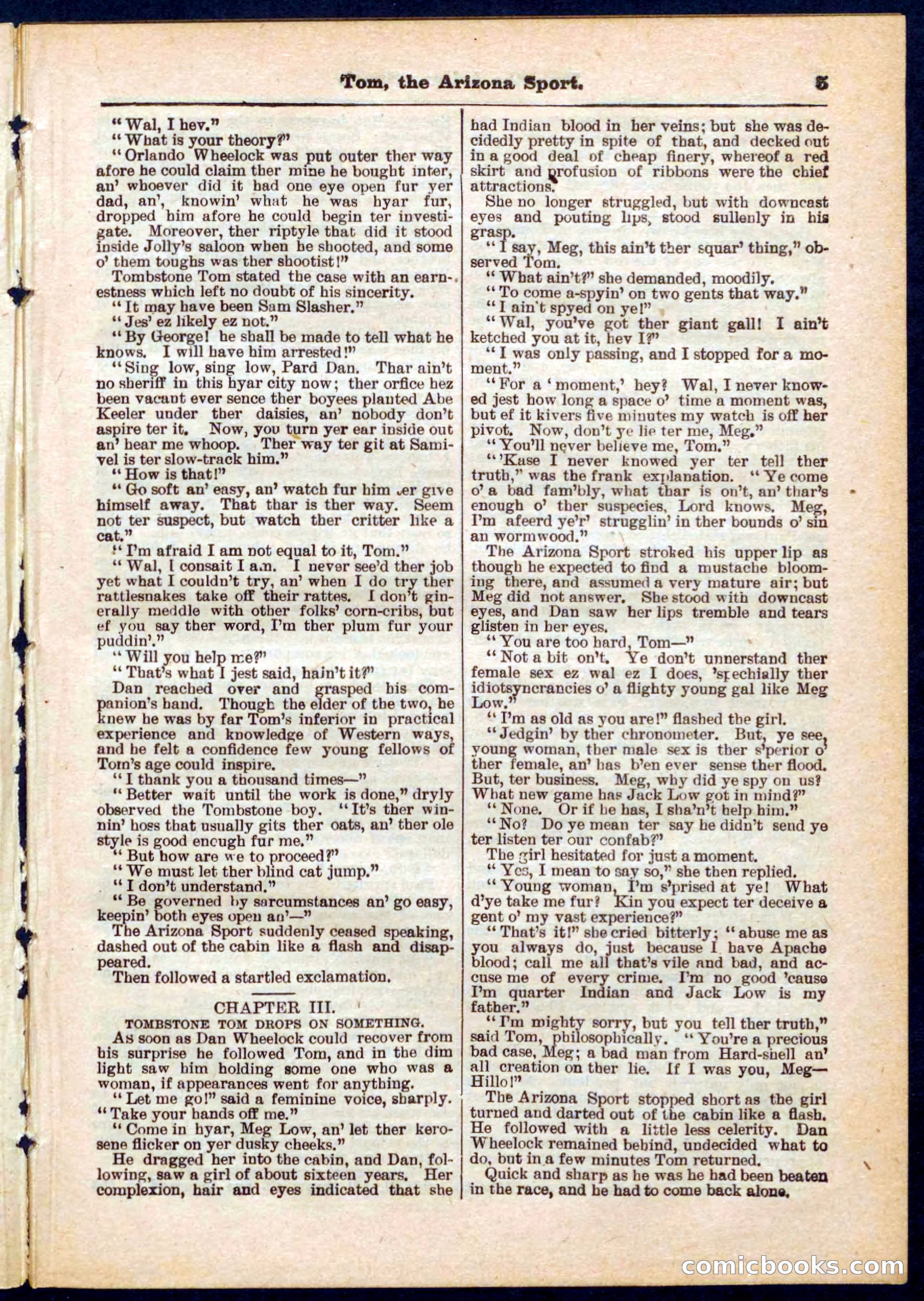 Beadle's Pocket Library No. 315 — page 5 of 32