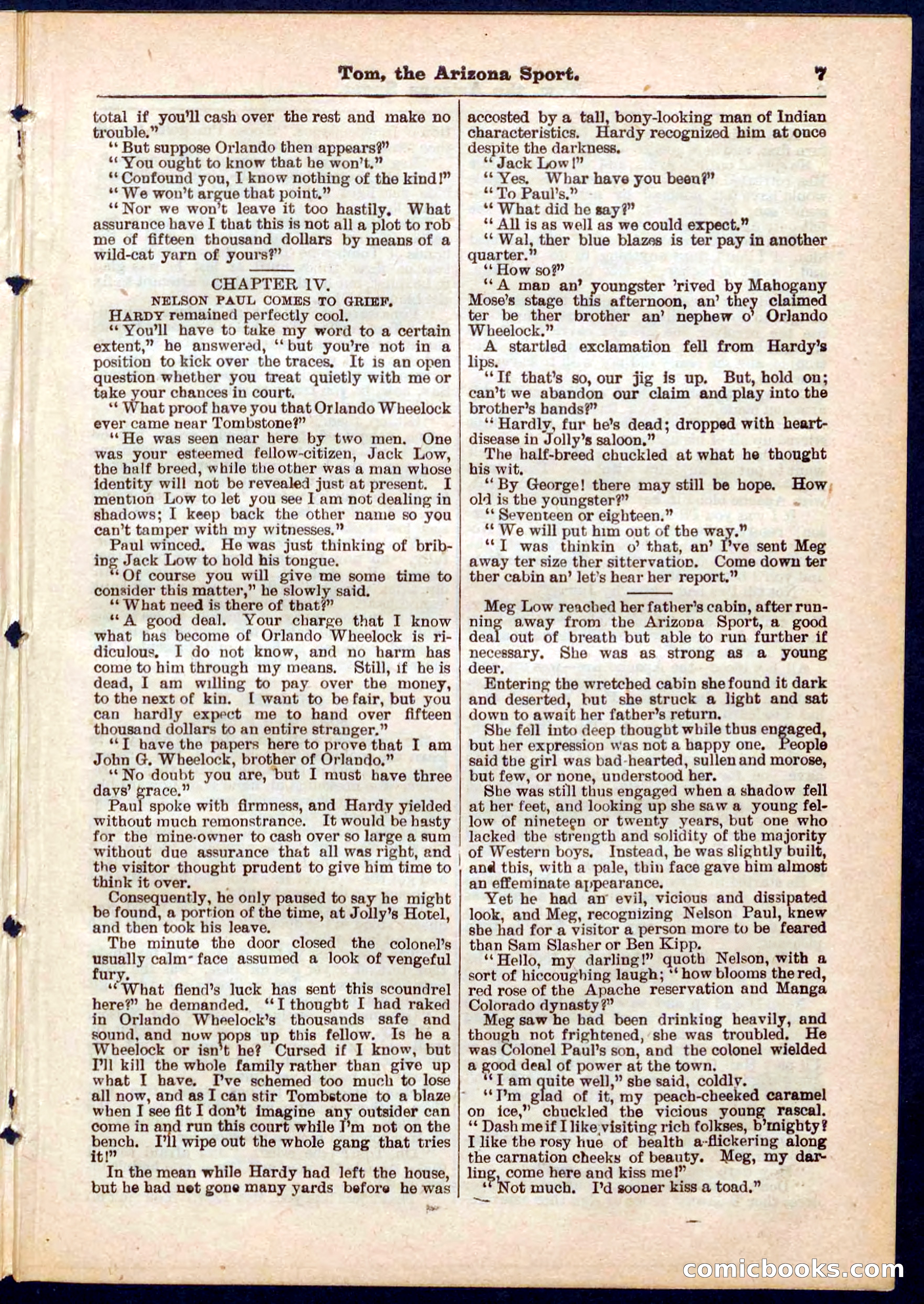 Beadle's Pocket Library No. 315 — page 7 of 32