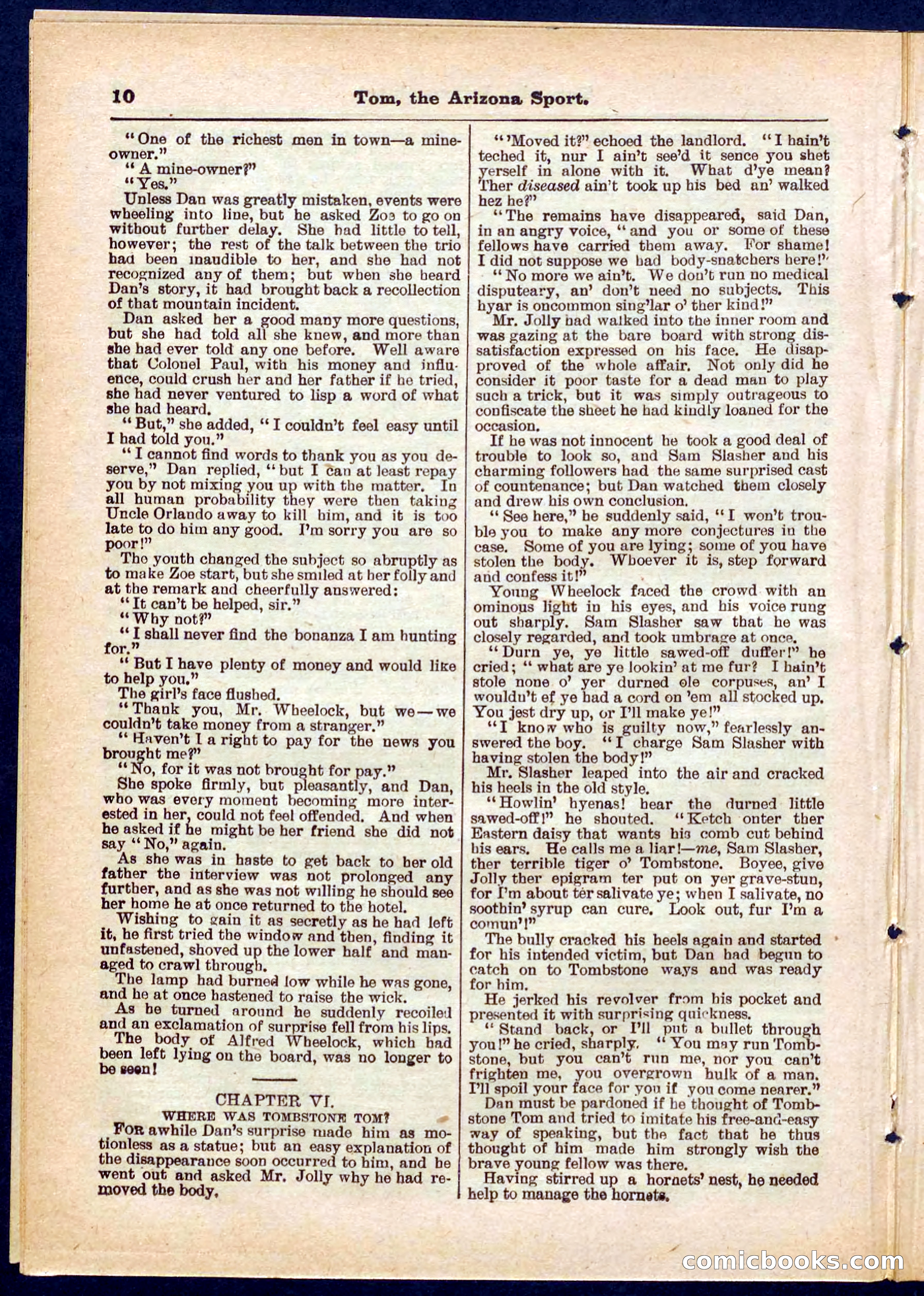 Beadle's Pocket Library No. 315 — page 10 of 32