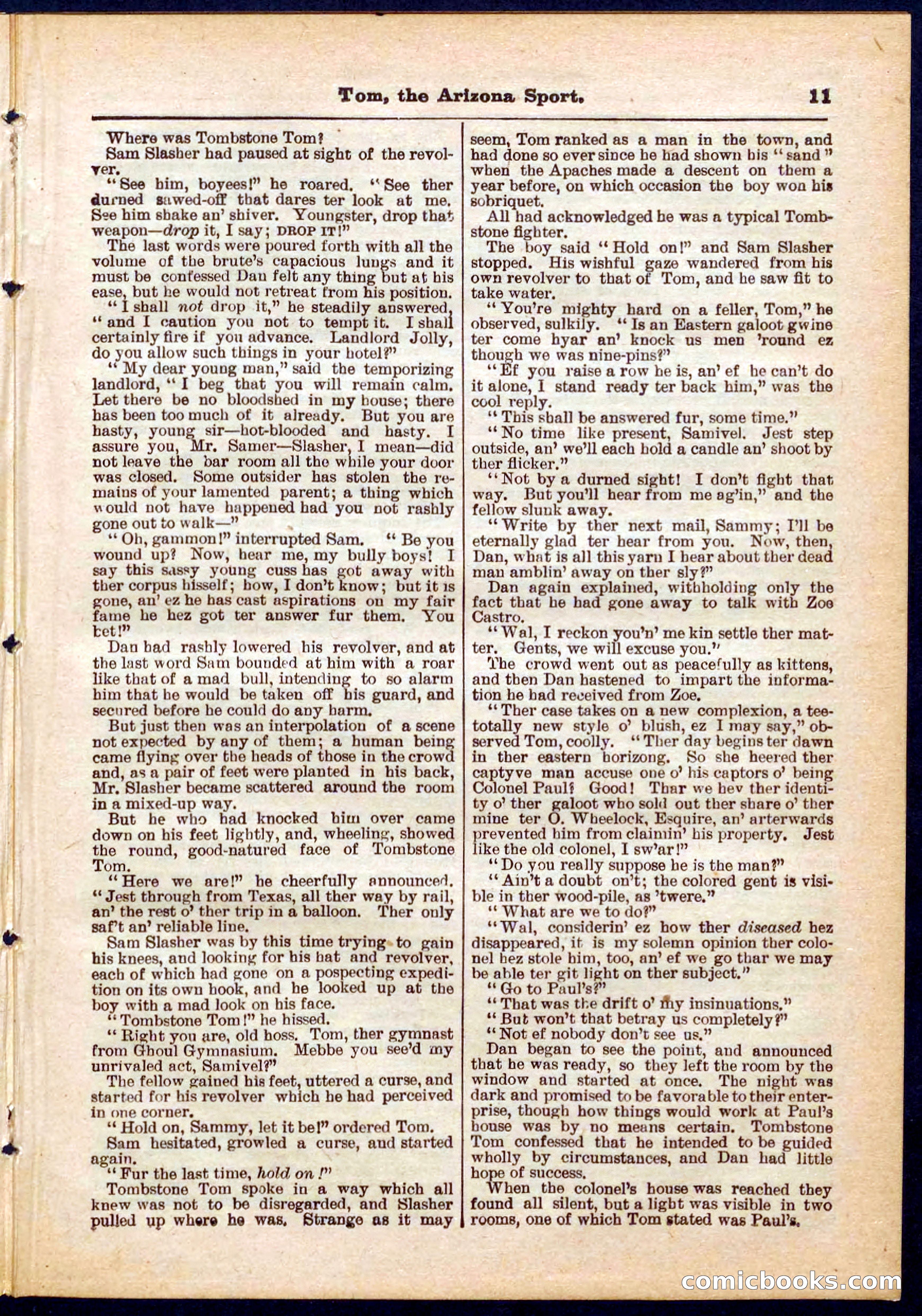 Beadle's Pocket Library No. 315 — page 11 of 32