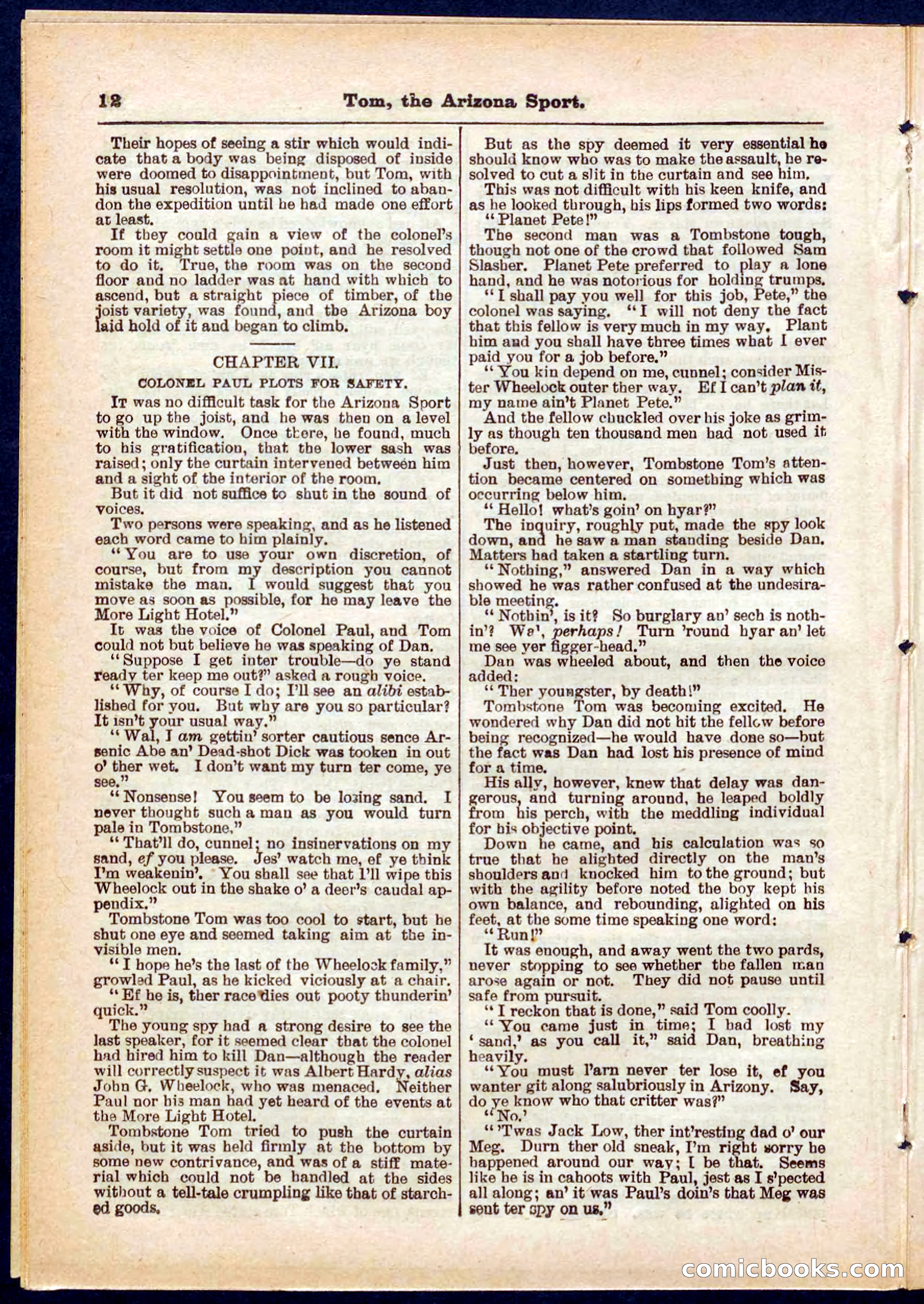 Beadle's Pocket Library No. 315 — page 12 of 32