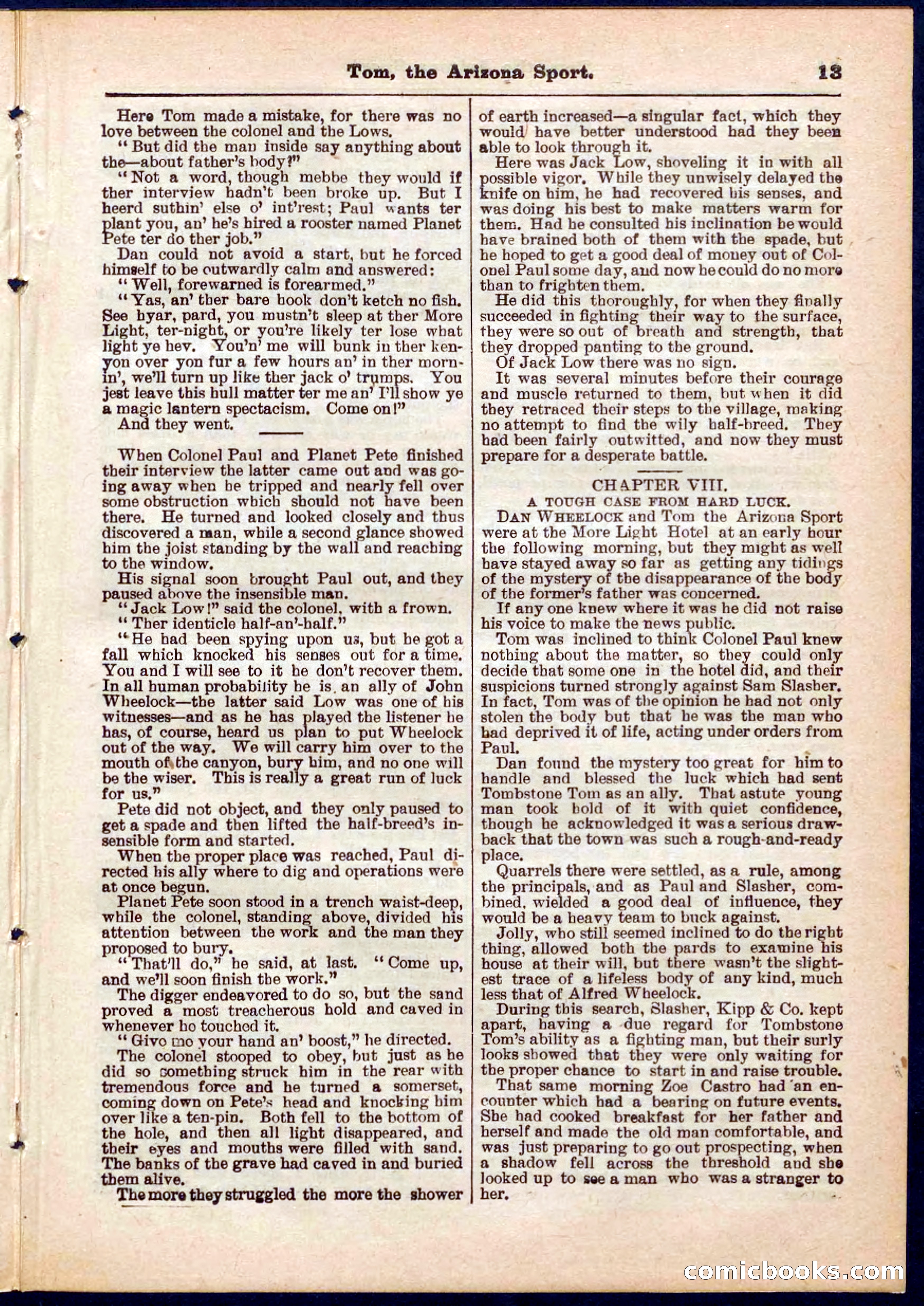 Beadle's Pocket Library No. 315 — page 13 of 32