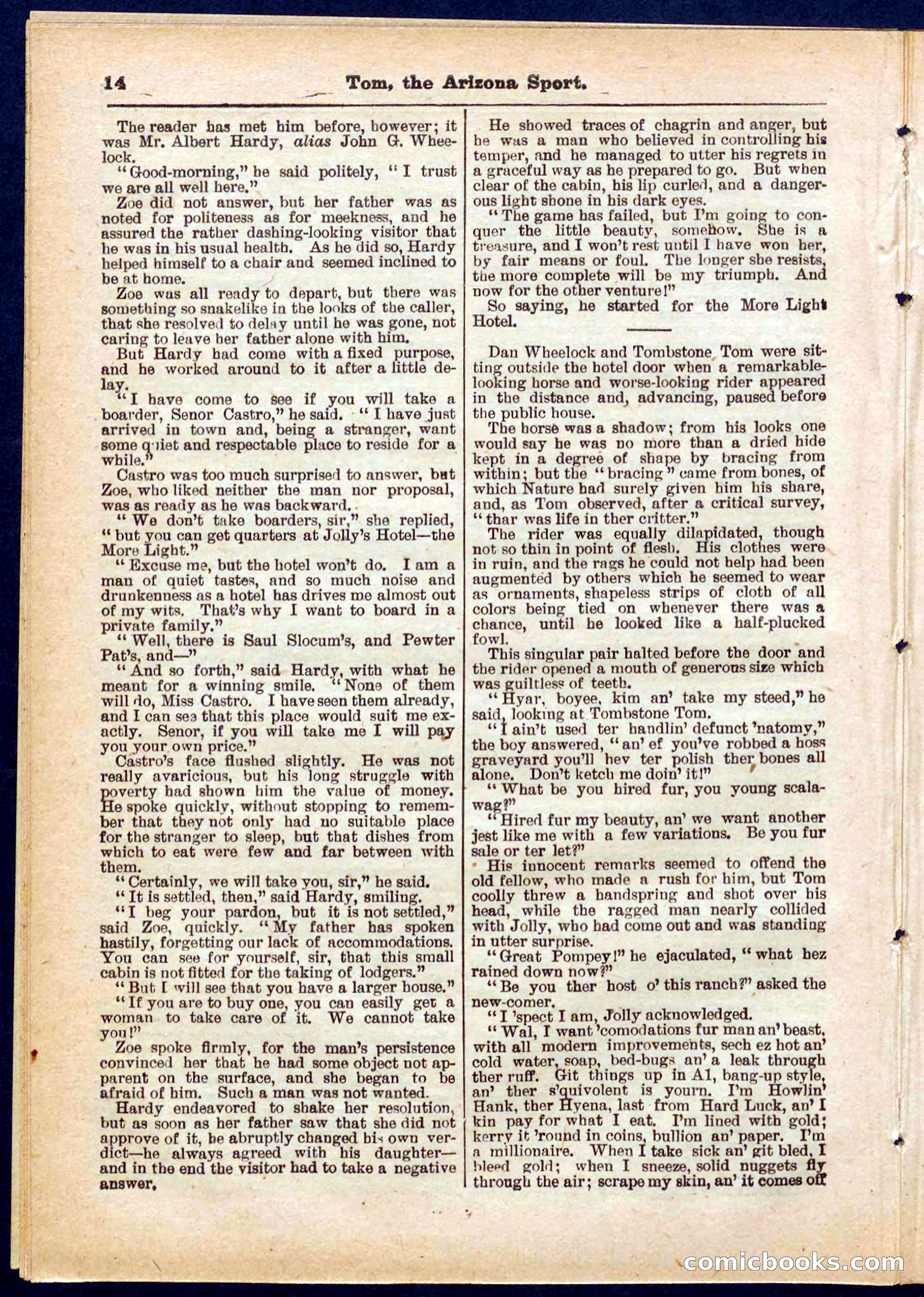 Beadle's Pocket Library No. 315 — page 14 of 32