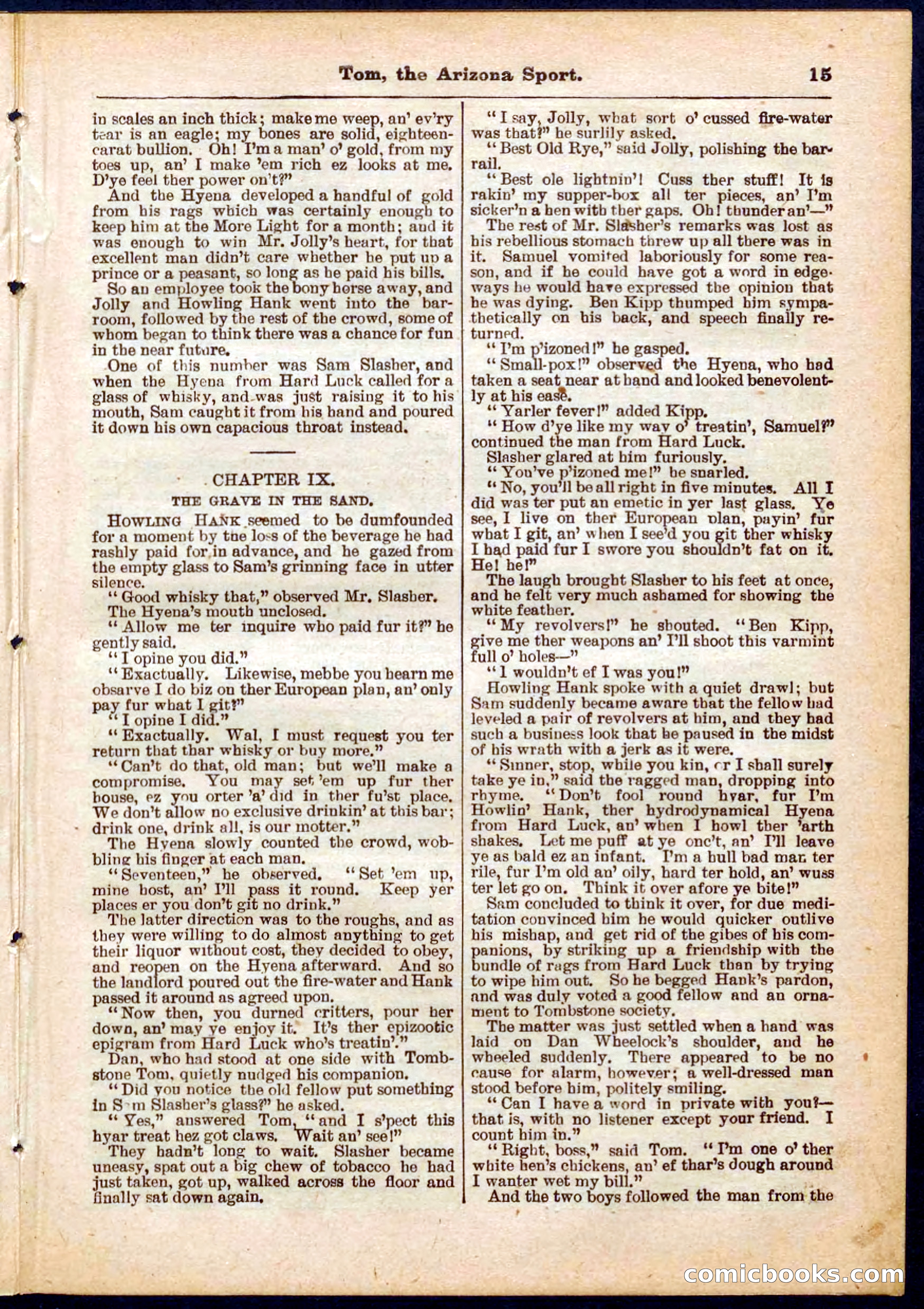 Beadle's Pocket Library No. 315 — page 15 of 32