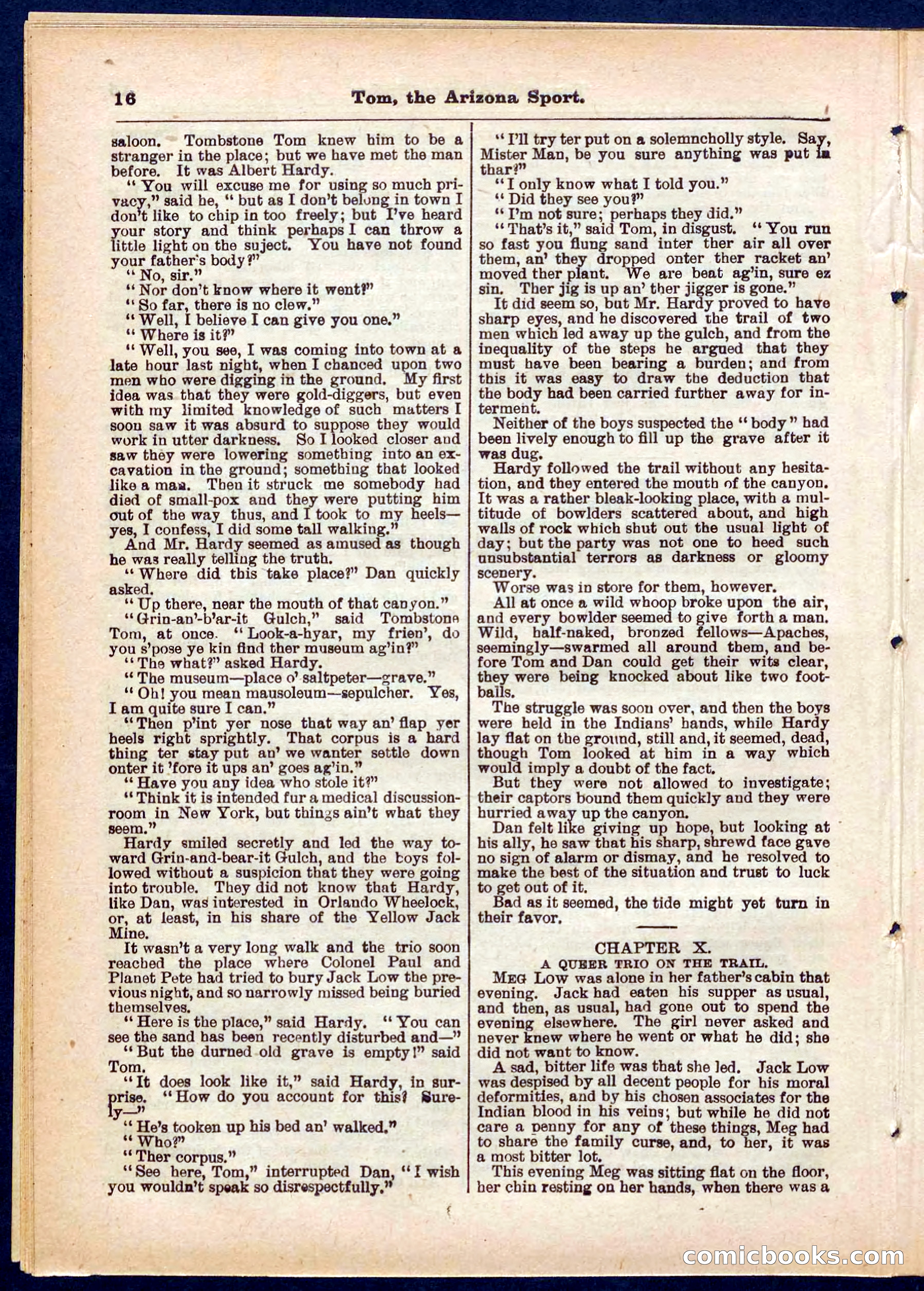Beadle's Pocket Library No. 315 — page 16 of 32