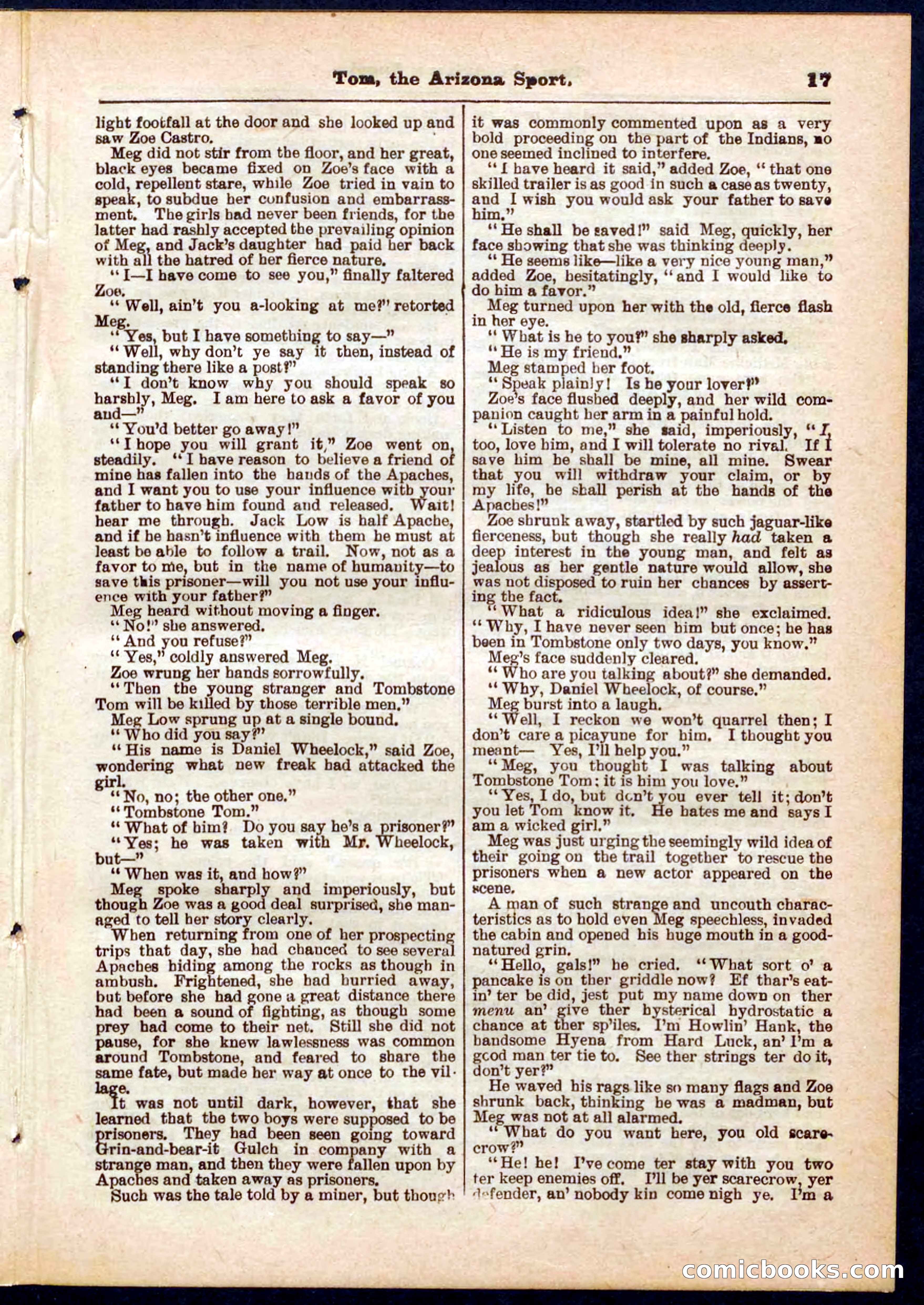 Beadle's Pocket Library No. 315 — page 17 of 32