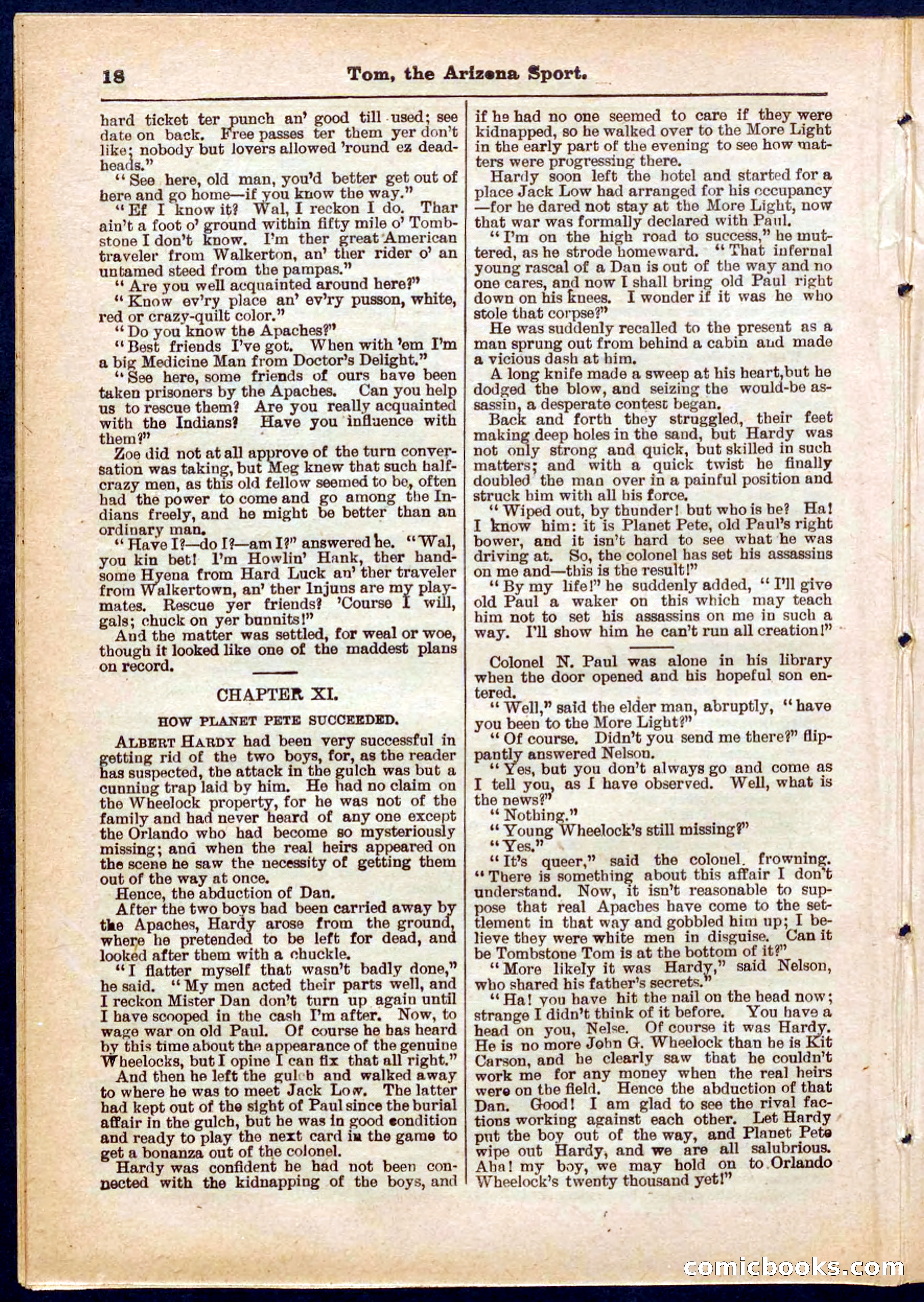 Beadle's Pocket Library No. 315 — page 18 of 32