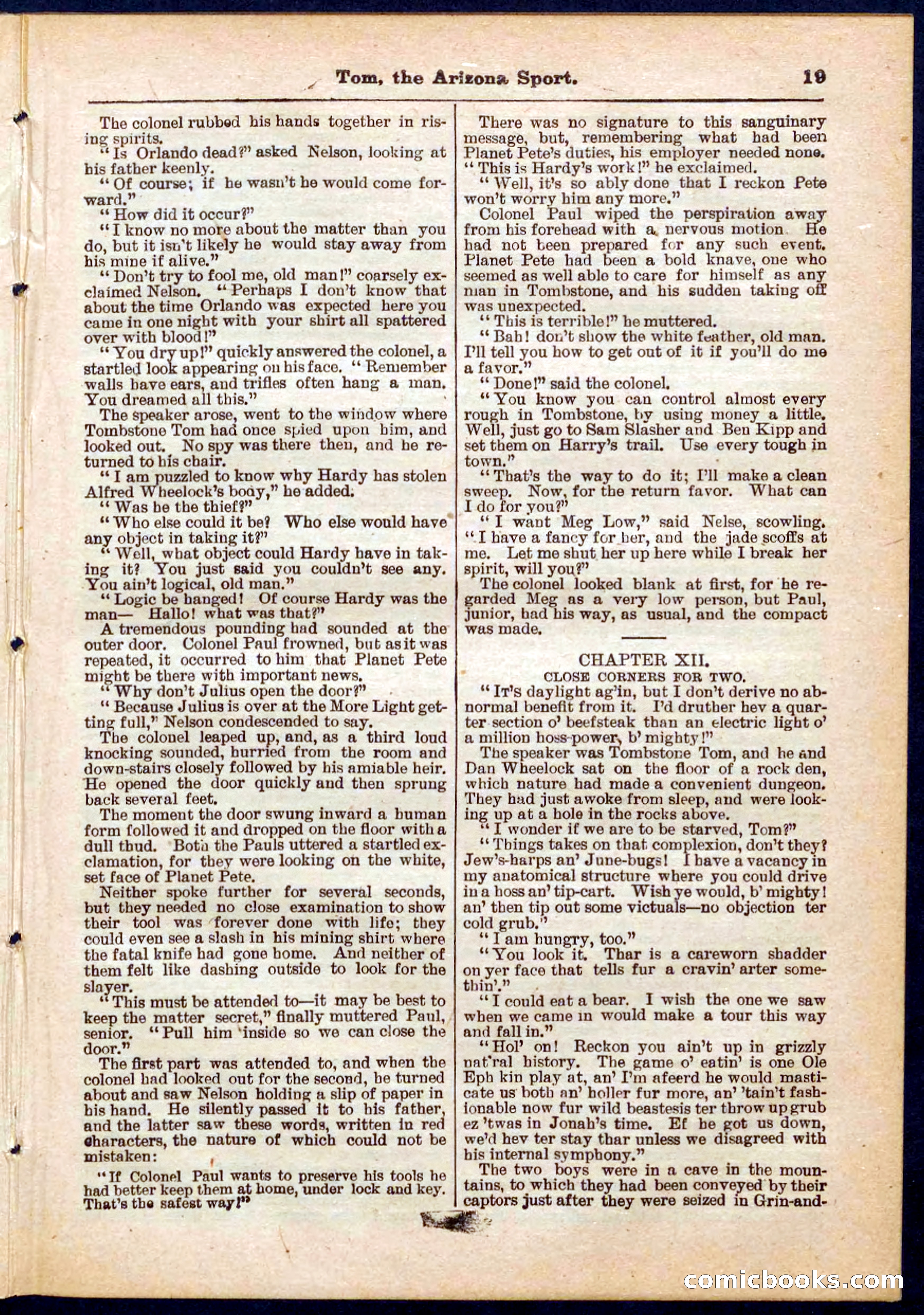 Beadle's Pocket Library No. 315 — page 19 of 32