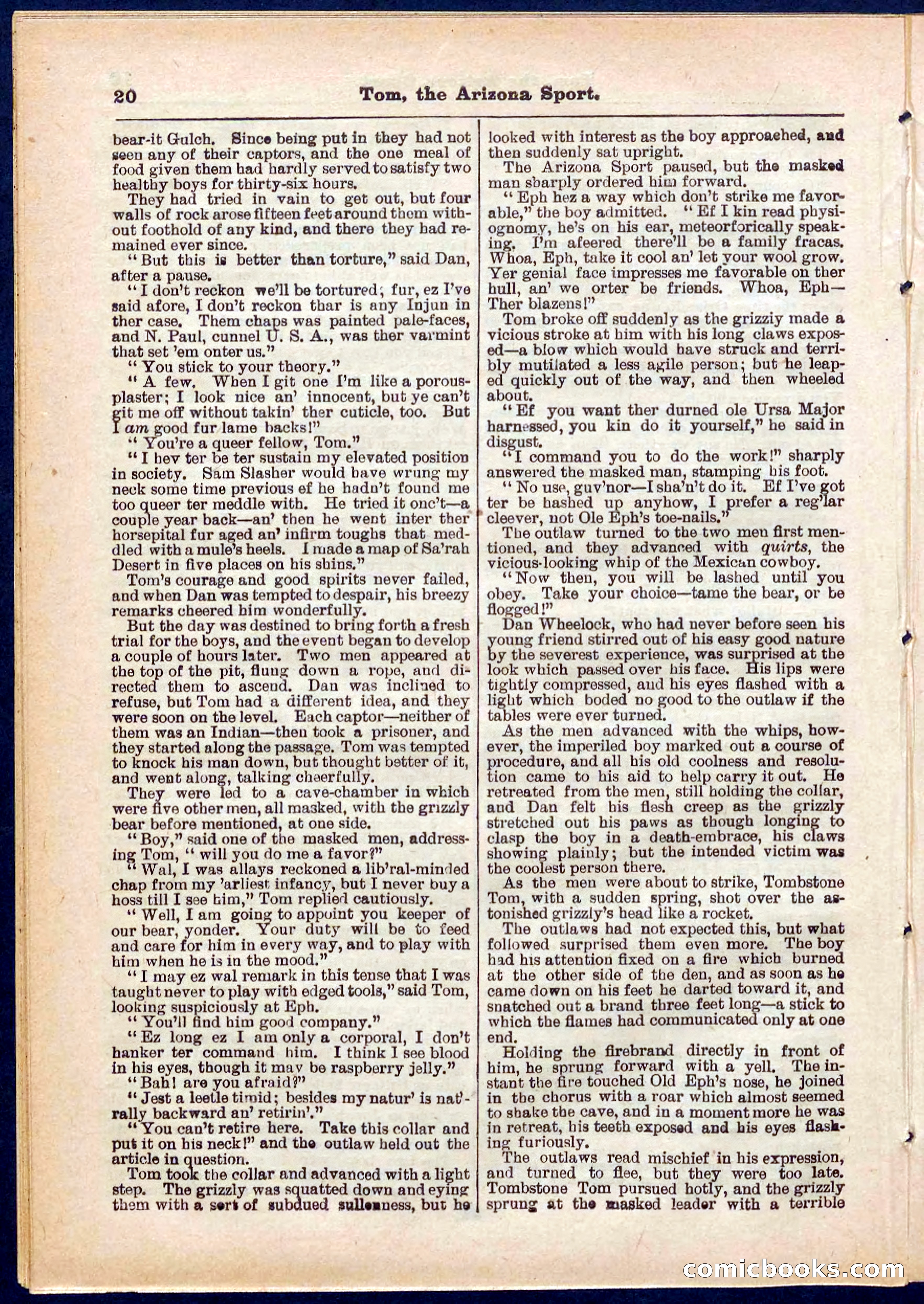 Beadle's Pocket Library No. 315 — page 20 of 32