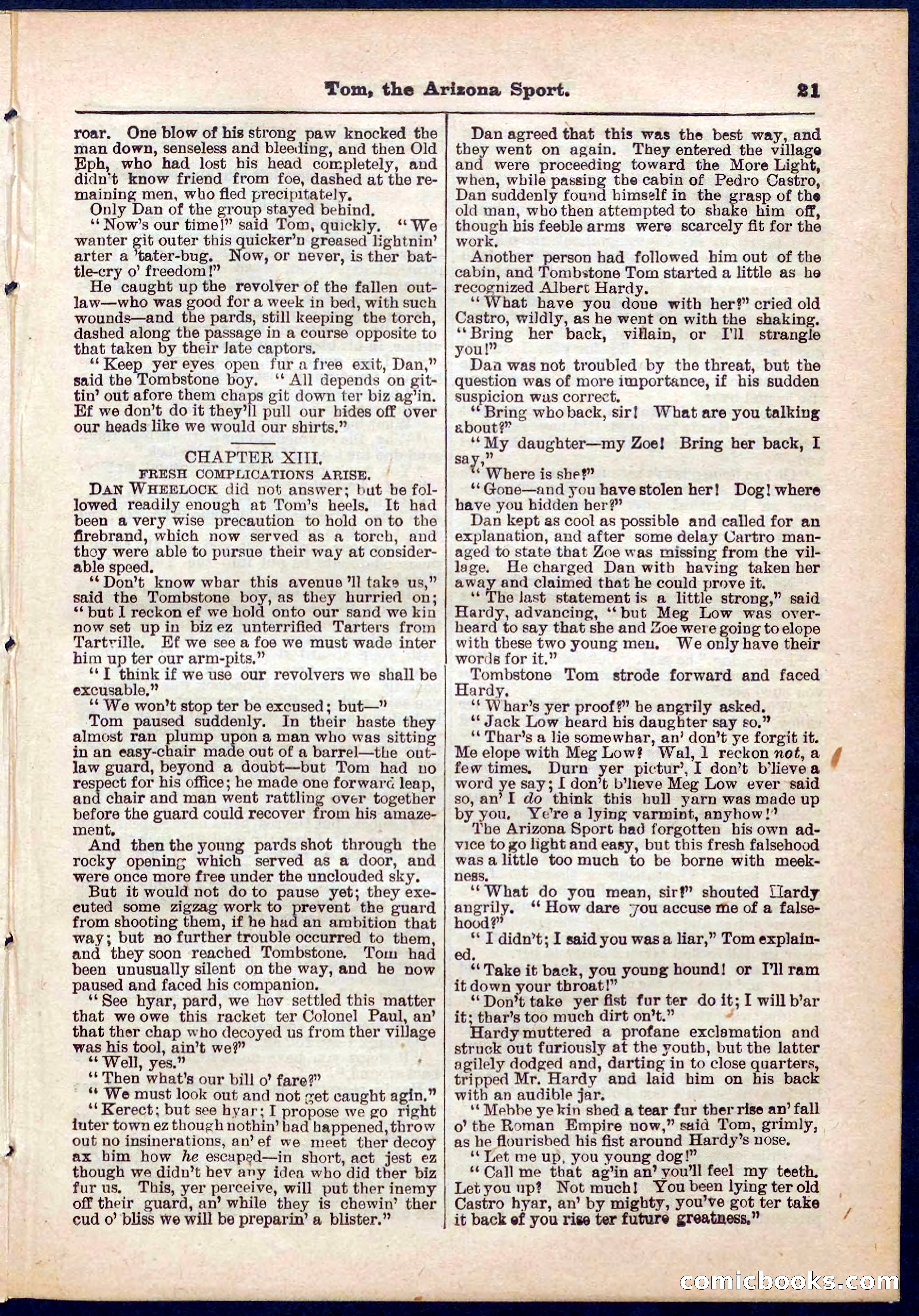 Beadle's Pocket Library No. 315 — page 21 of 32