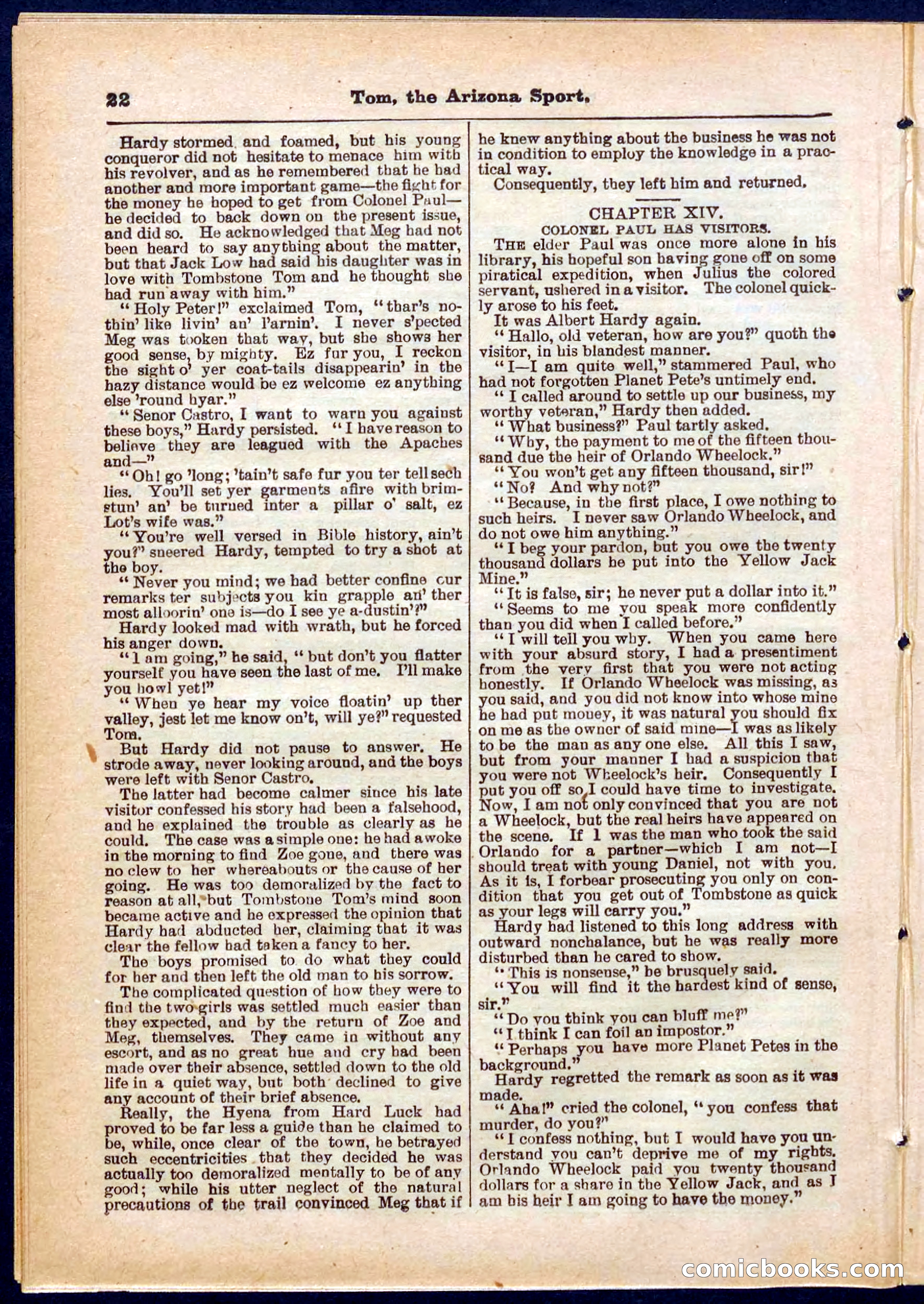 Beadle's Pocket Library No. 315 — page 22 of 32