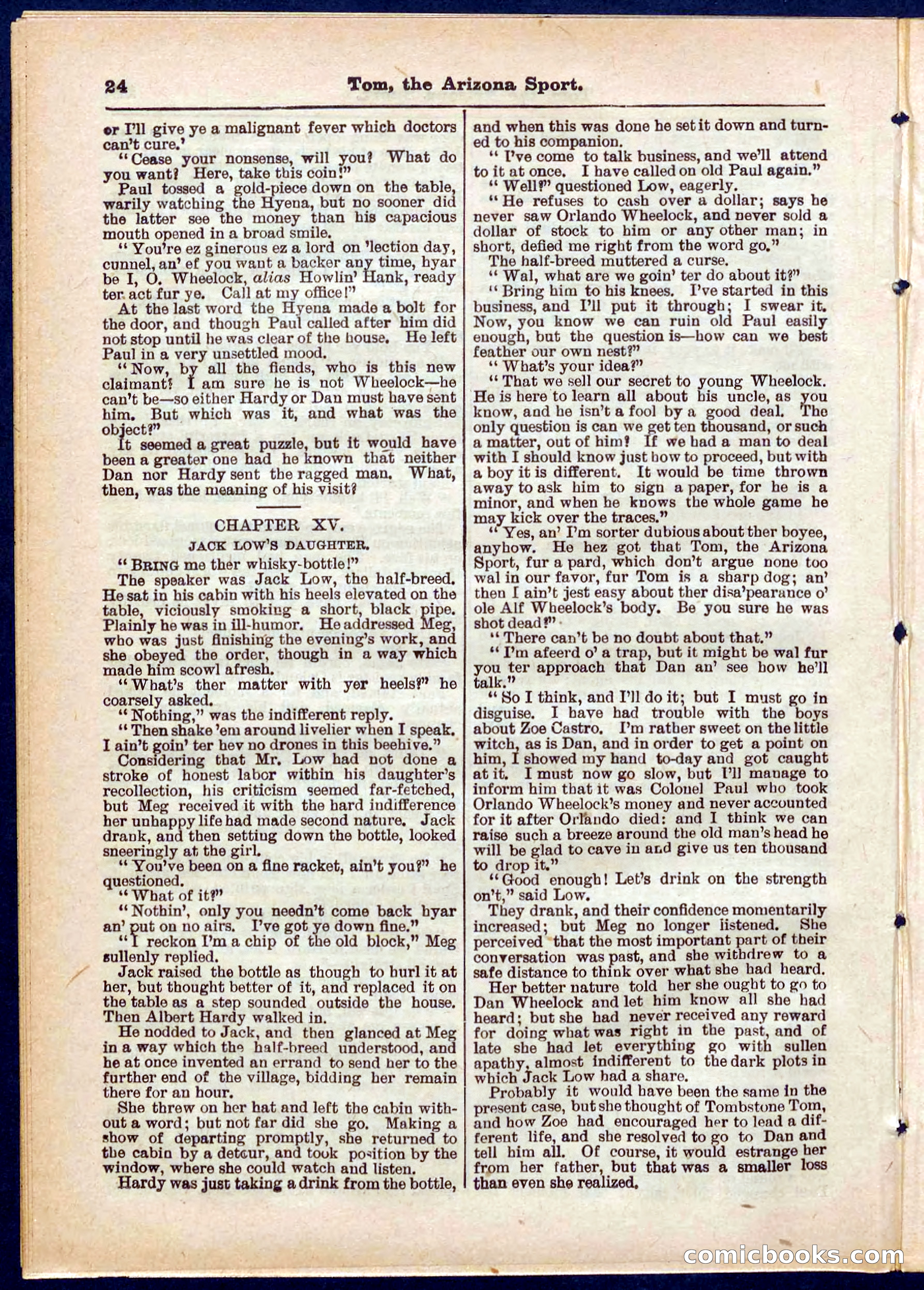 Beadle's Pocket Library No. 315 — page 24 of 32