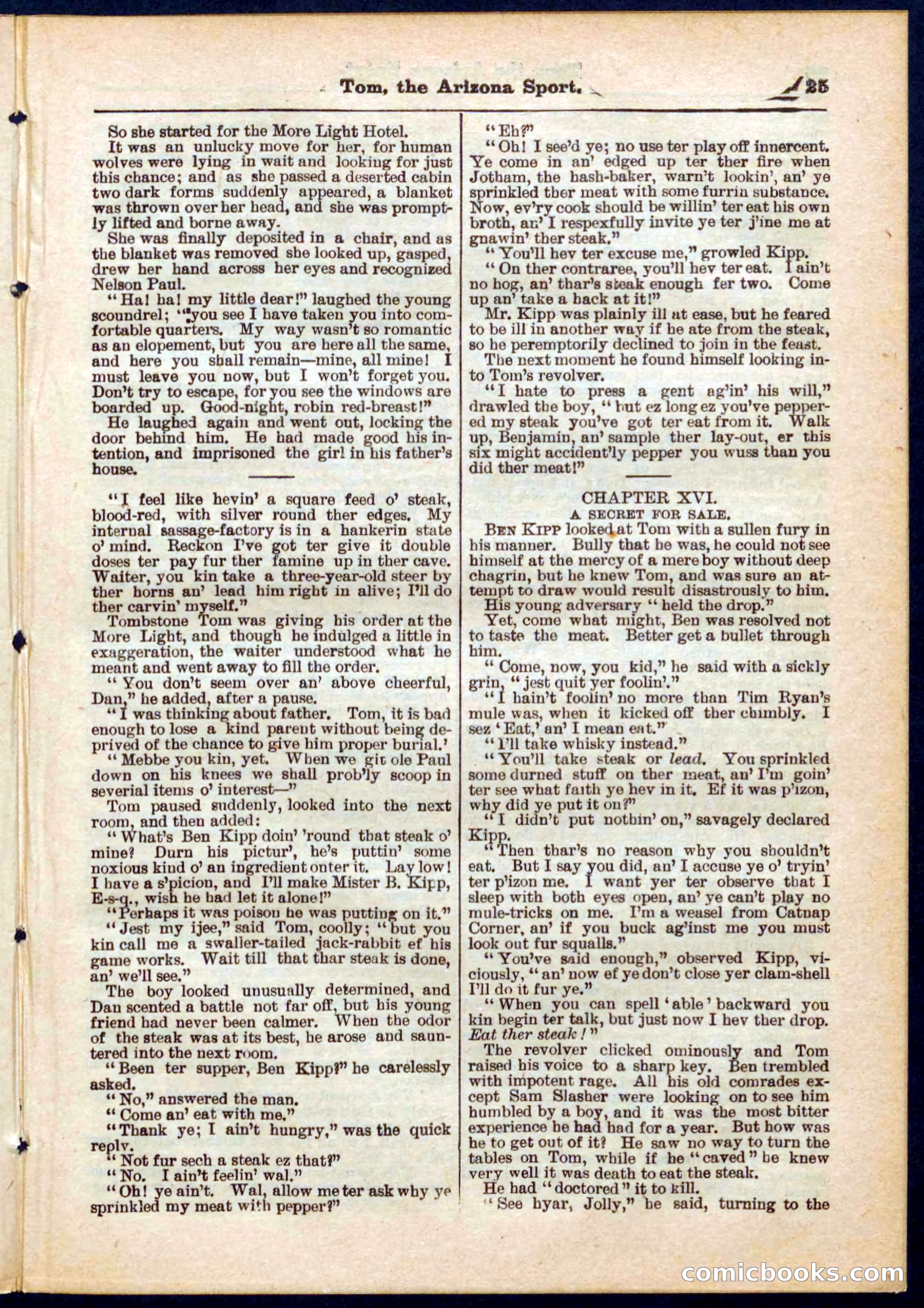 Beadle's Pocket Library No. 315 — page 25 of 32
