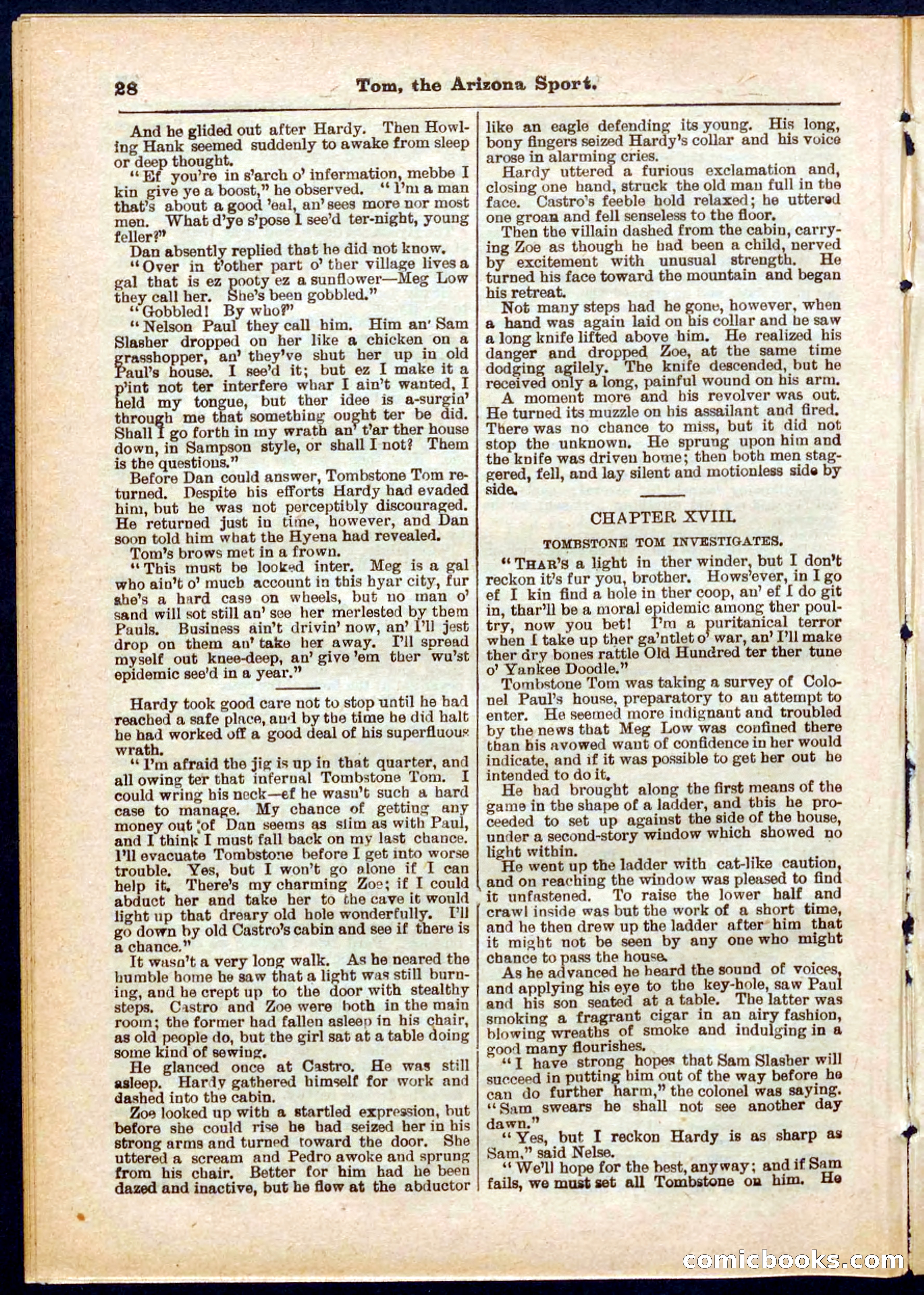Beadle's Pocket Library No. 315 — page 28 of 32