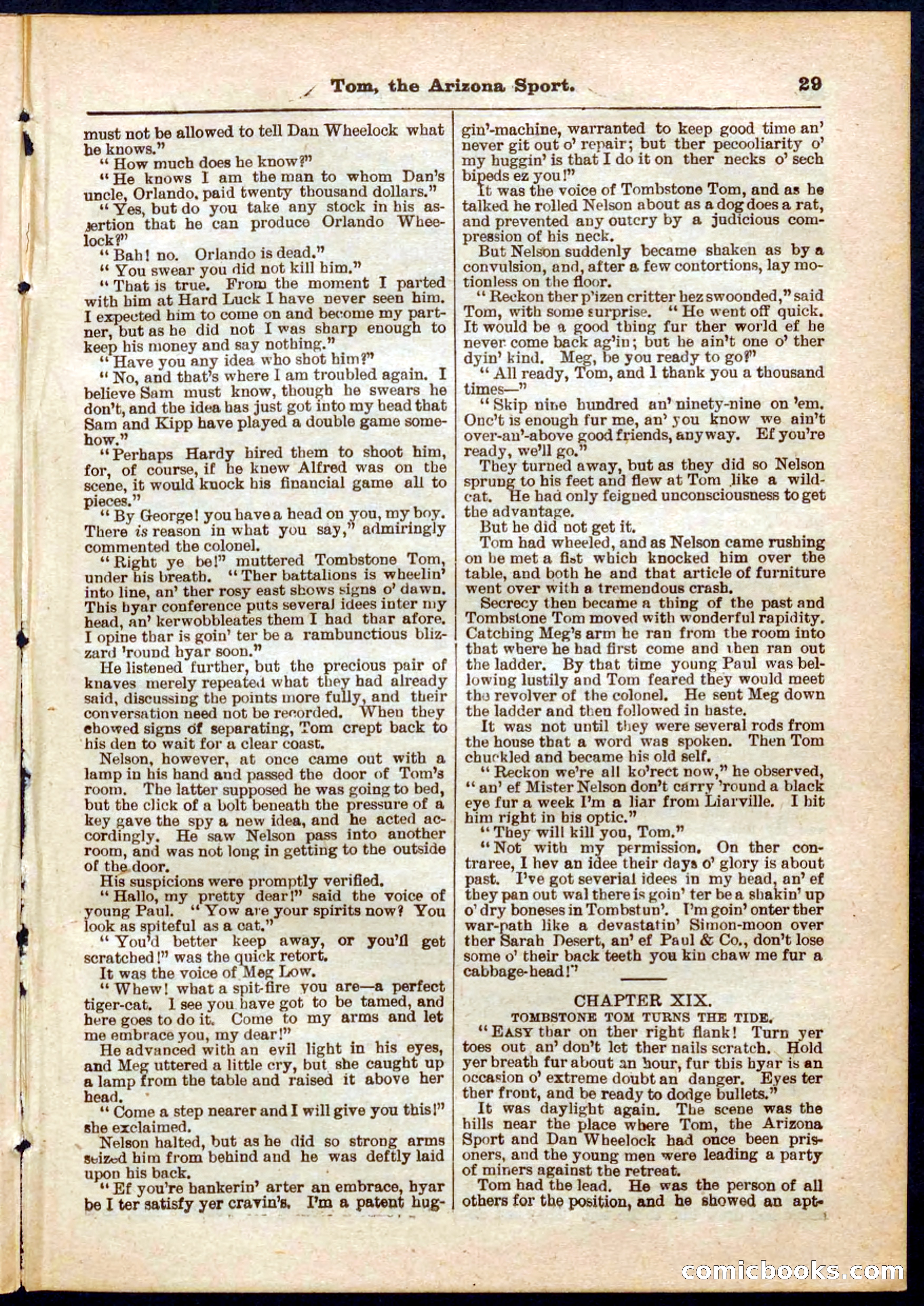 Beadle's Pocket Library No. 315 — page 29 of 32