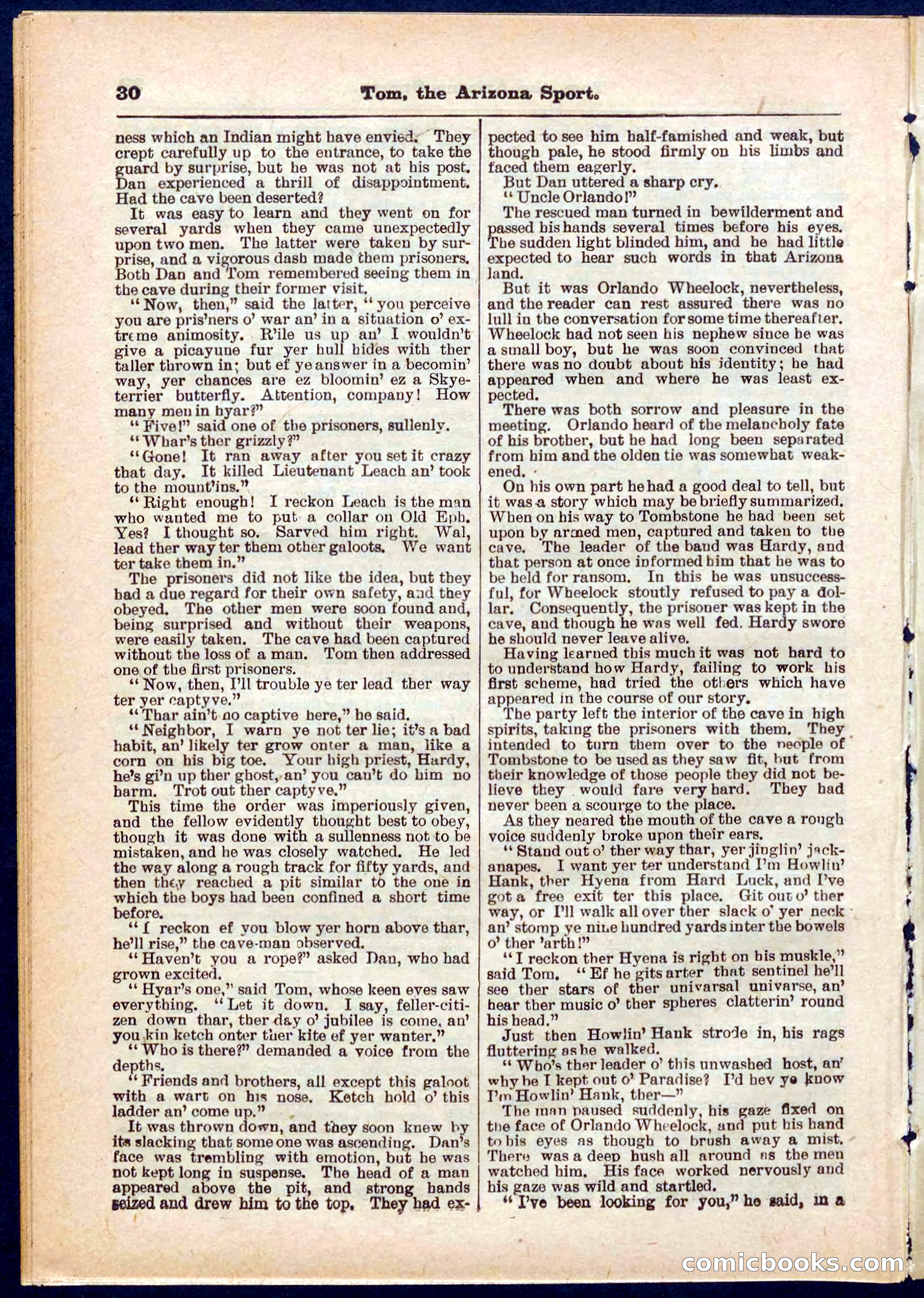 Beadle's Pocket Library No. 315 — page 30 of 32