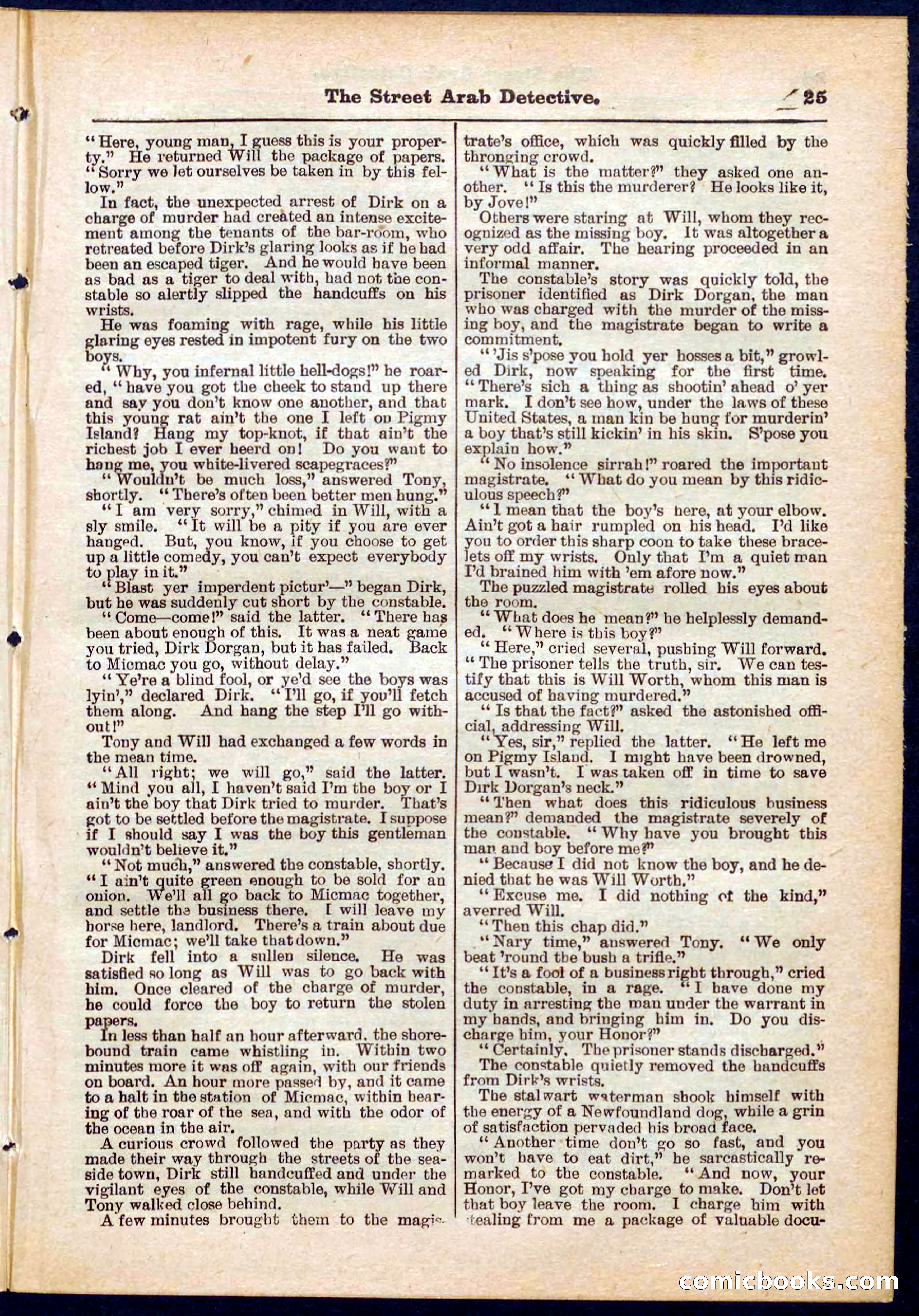 Beadle's Pocket Library No. 316: The Street Hard Detective — page 25 of 32
