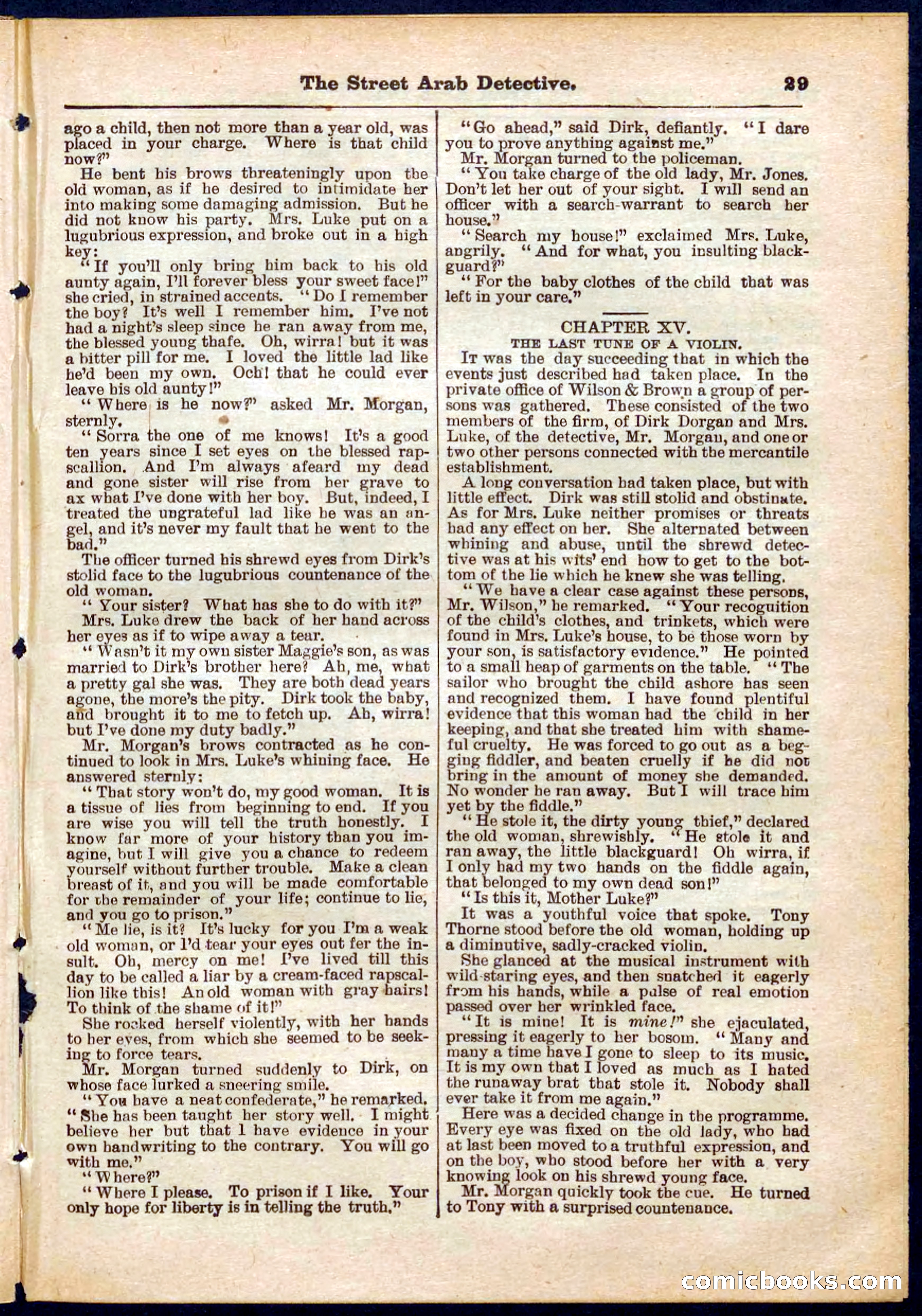 Beadle's Pocket Library No. 316: The Street Hard Detective — page 29 of 32