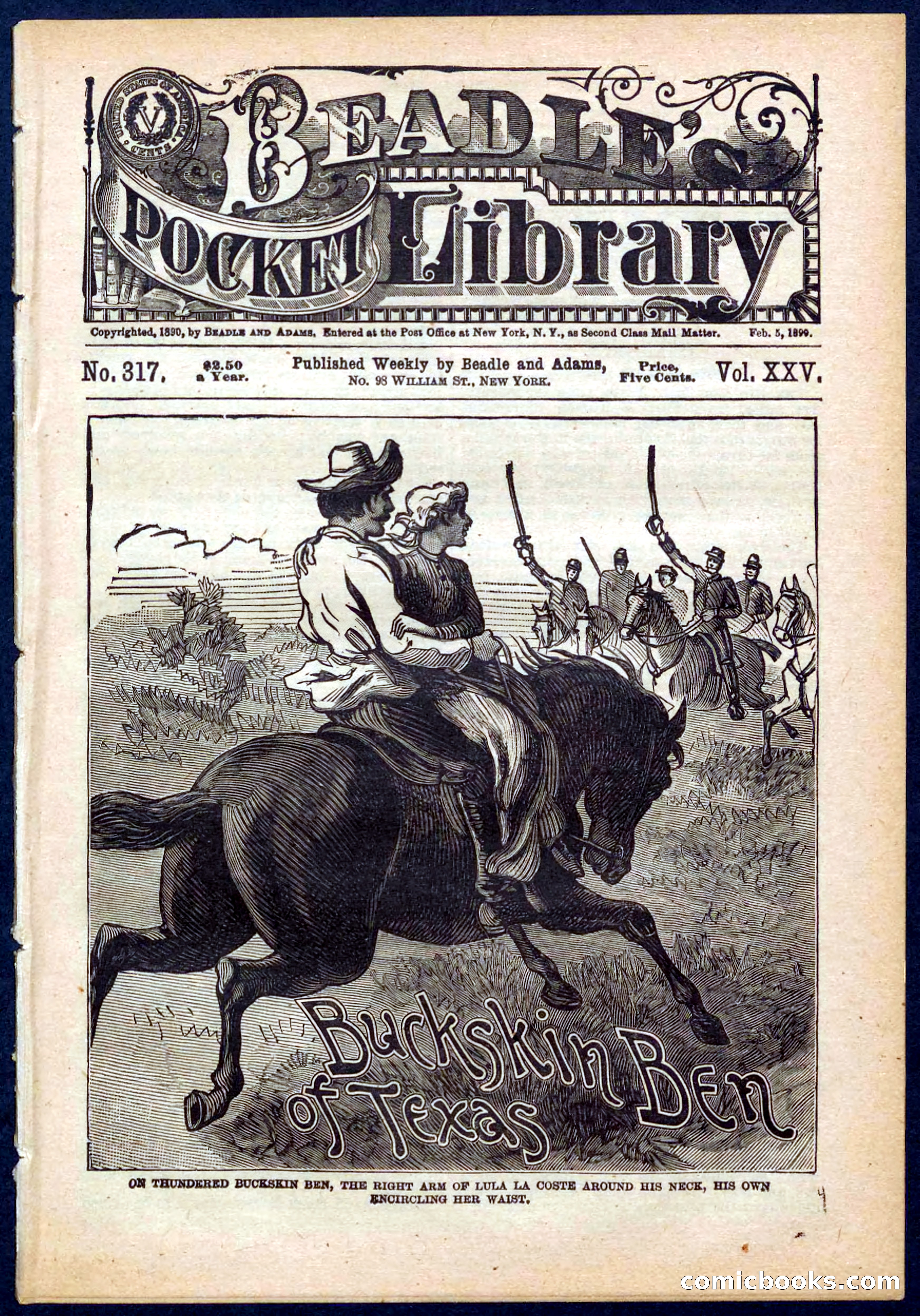Beadle's Pocket Library No. 317 — page 1 of 32