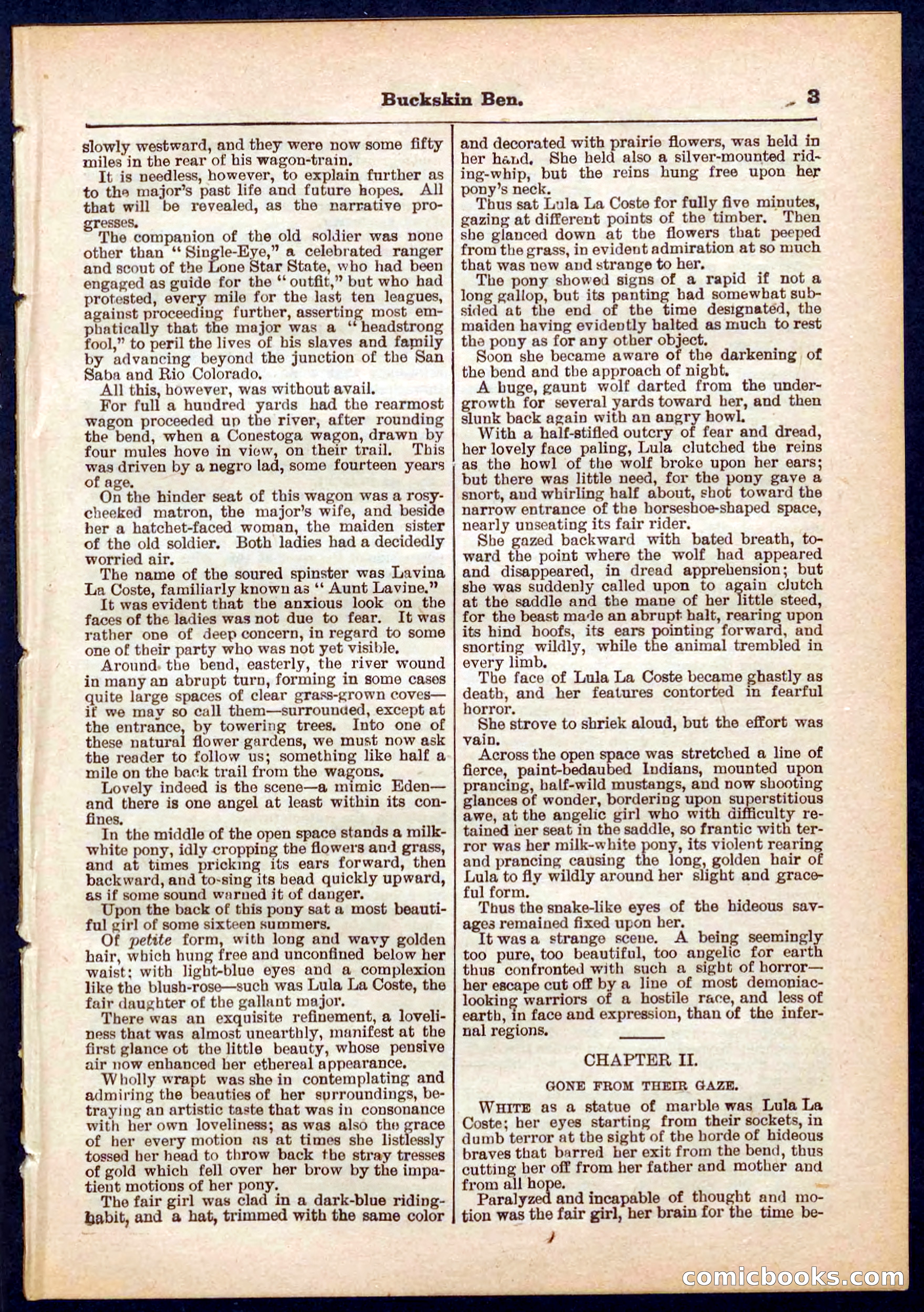 Beadle's Pocket Library No. 317 — page 3 of 32