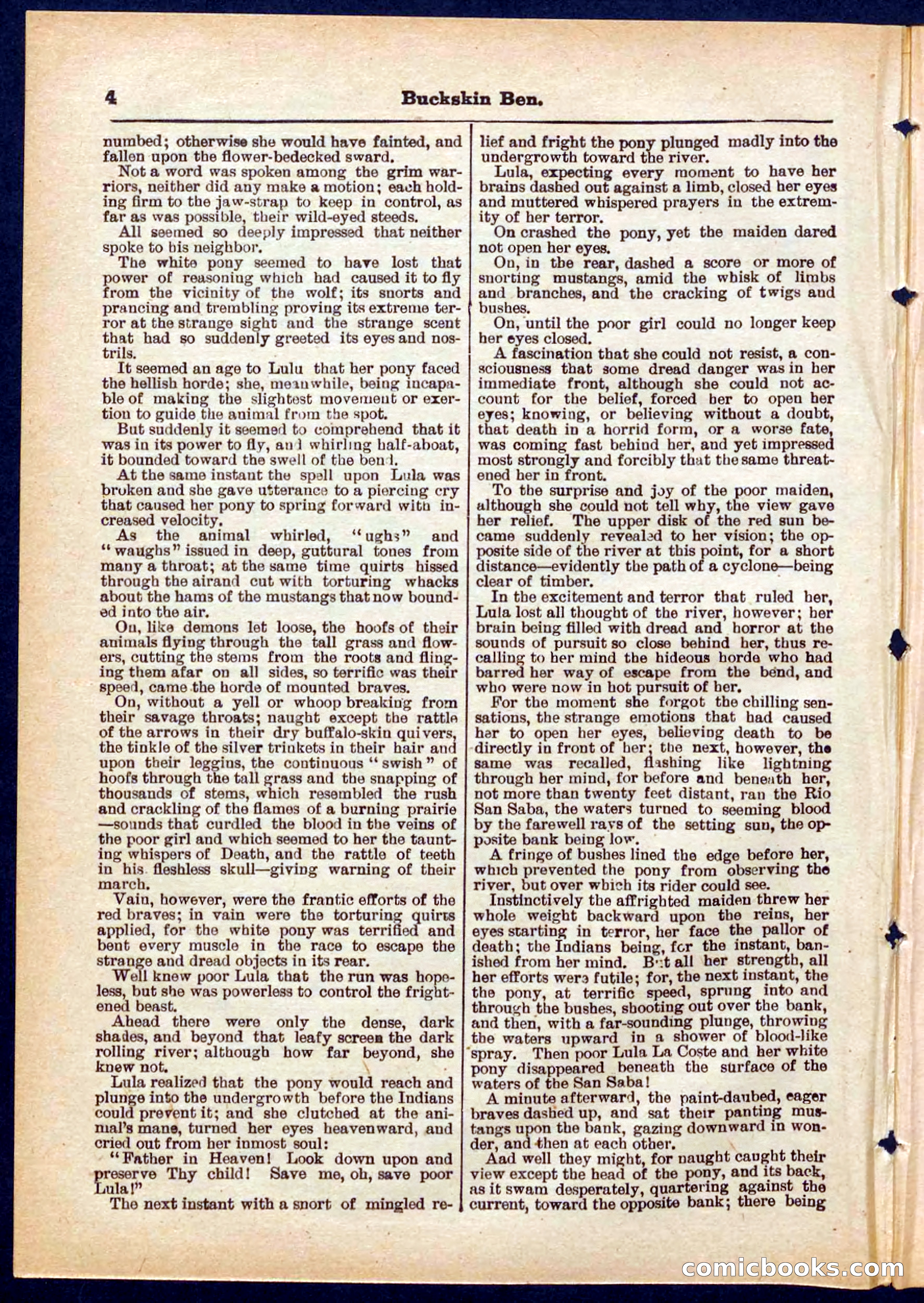 Beadle's Pocket Library No. 317 — page 4 of 32
