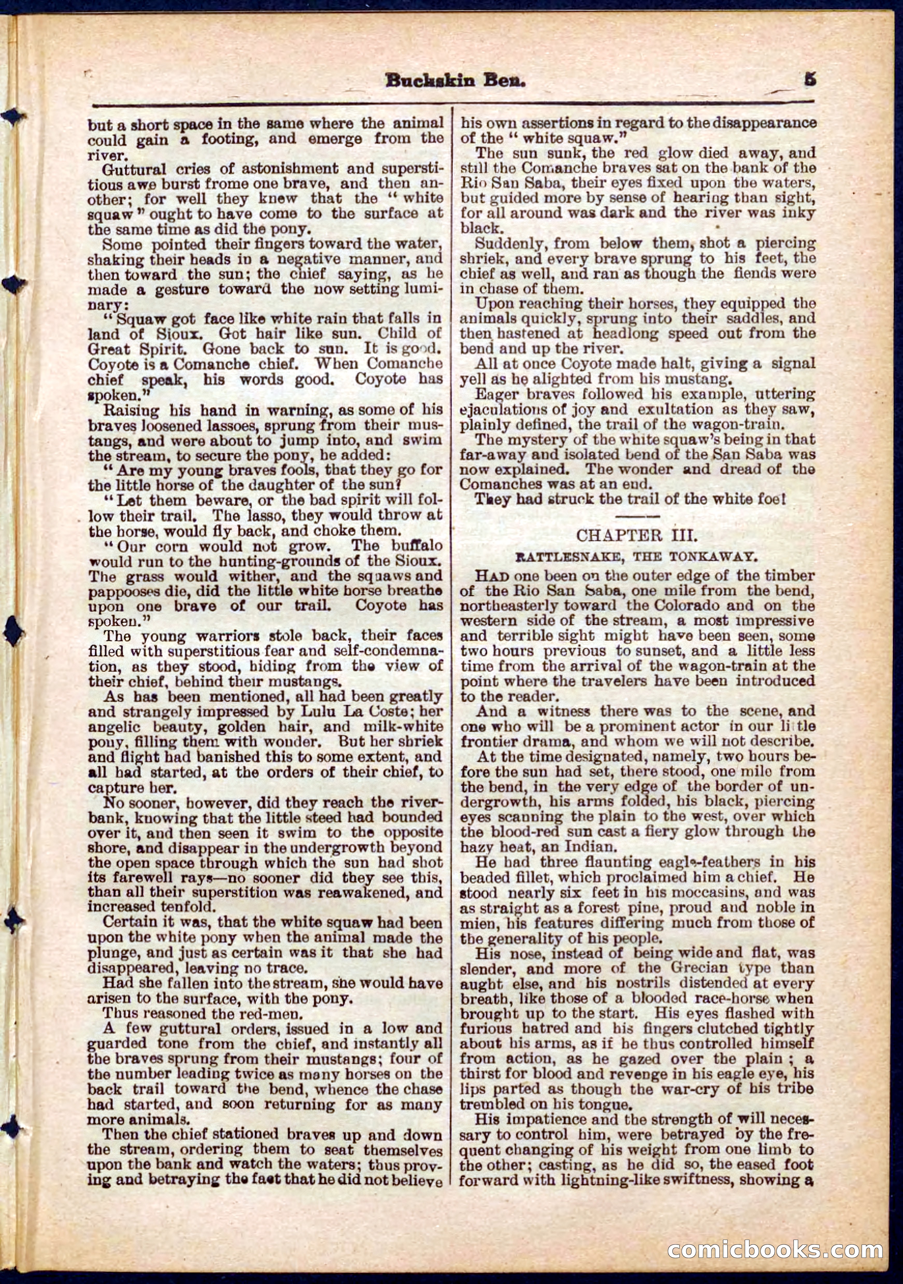 Beadle's Pocket Library No. 317 — page 5 of 32