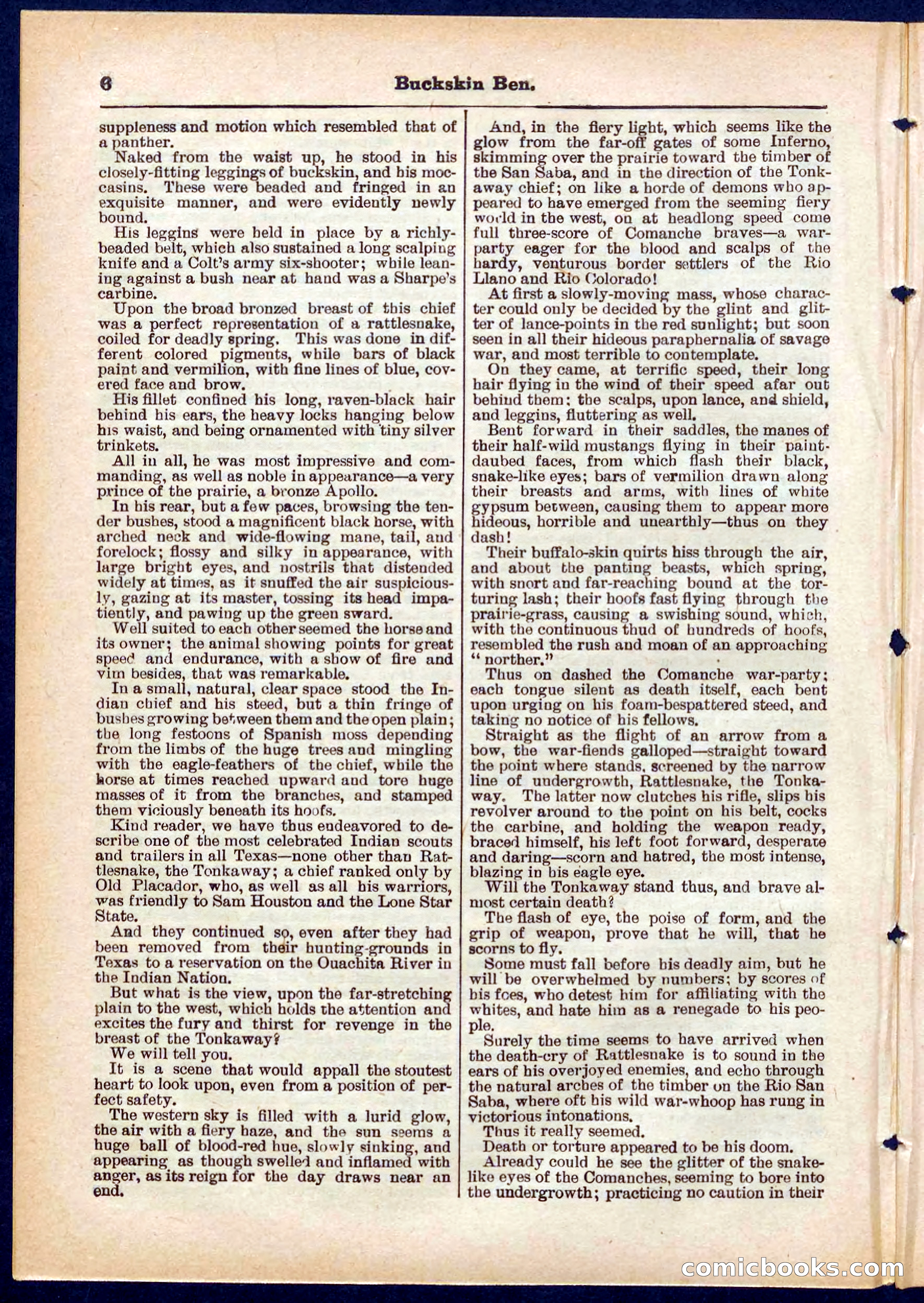 Beadle's Pocket Library No. 317 — page 6 of 32