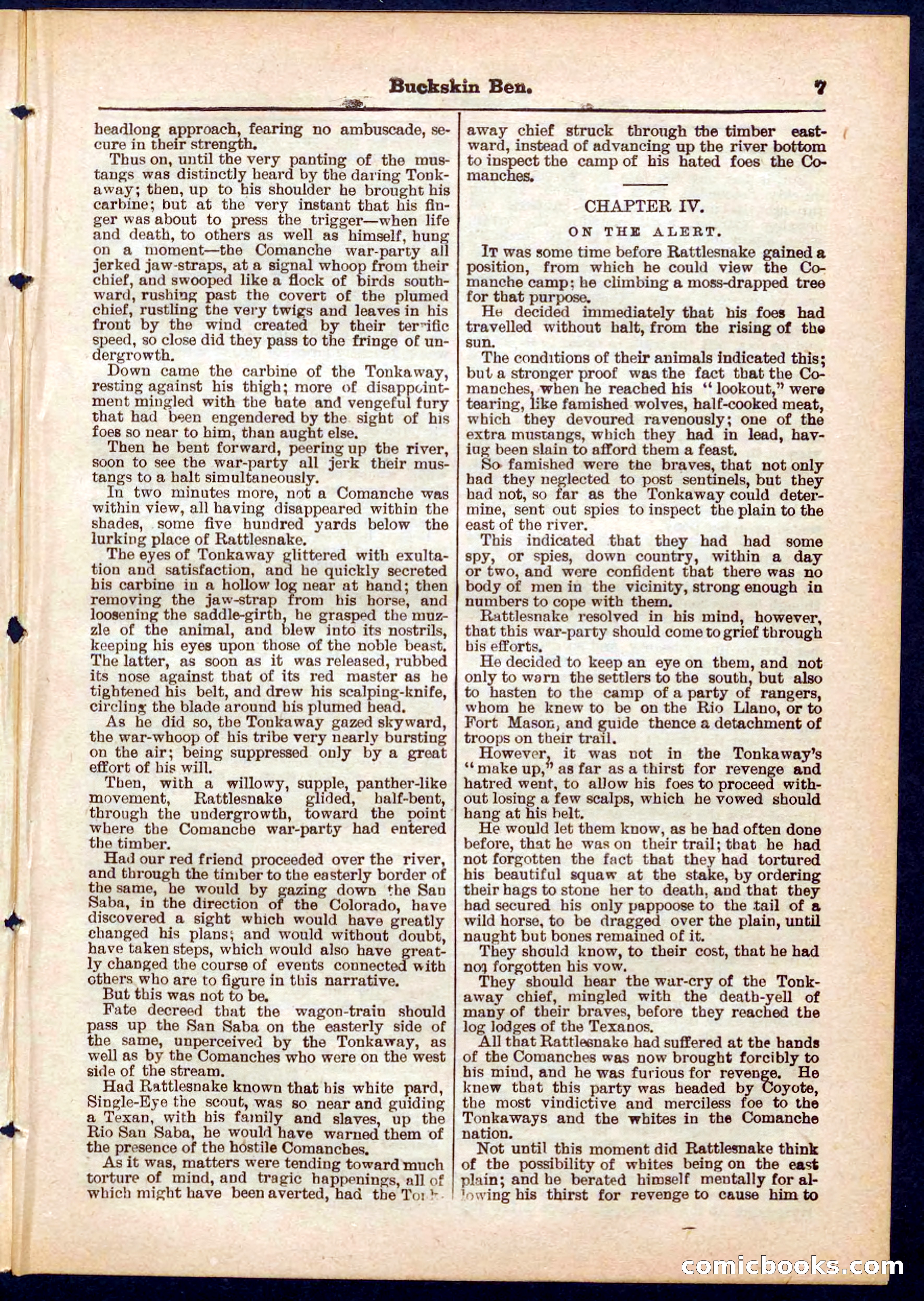 Beadle's Pocket Library No. 317 — page 7 of 32