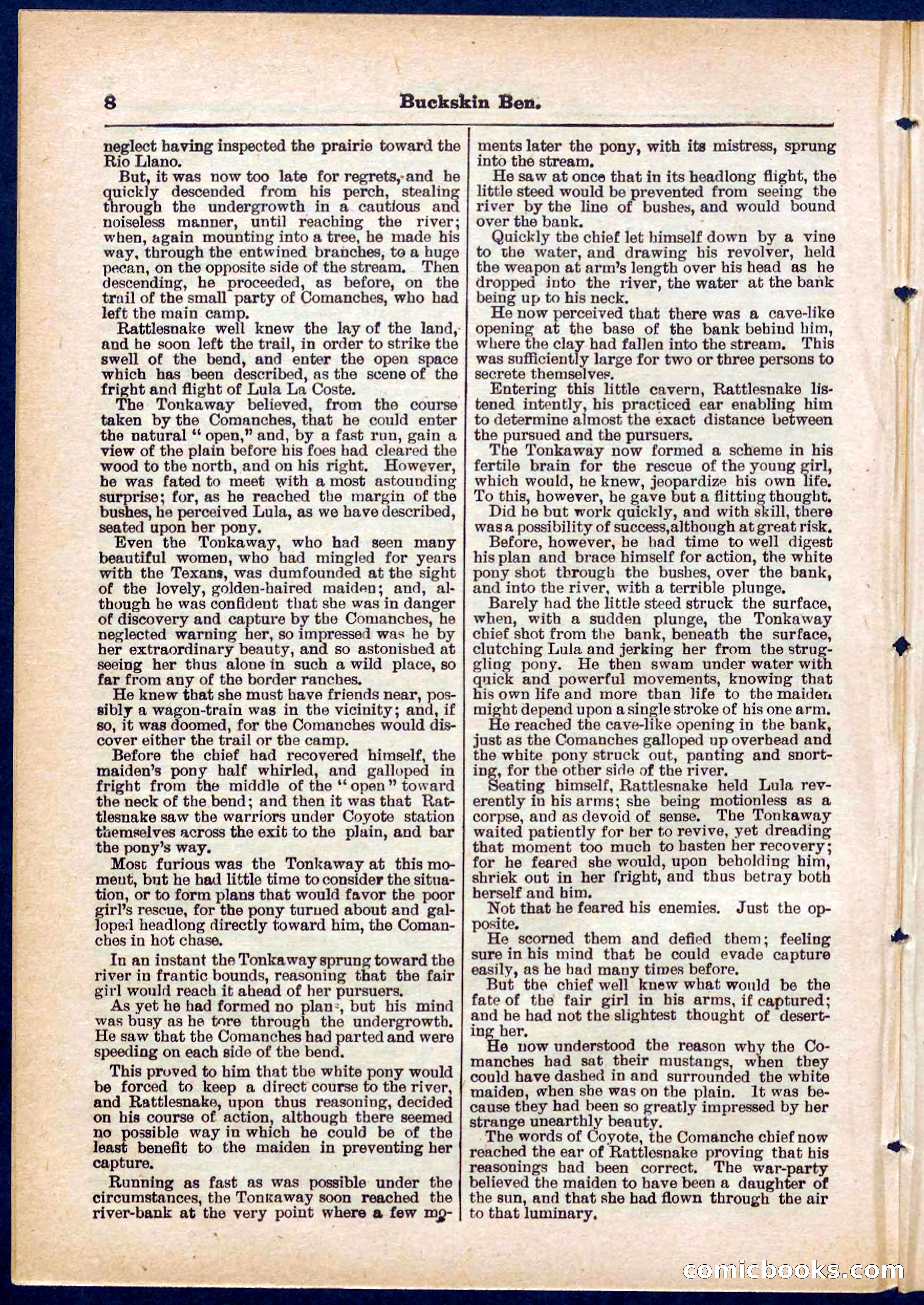 Beadle's Pocket Library No. 317 — page 8 of 32